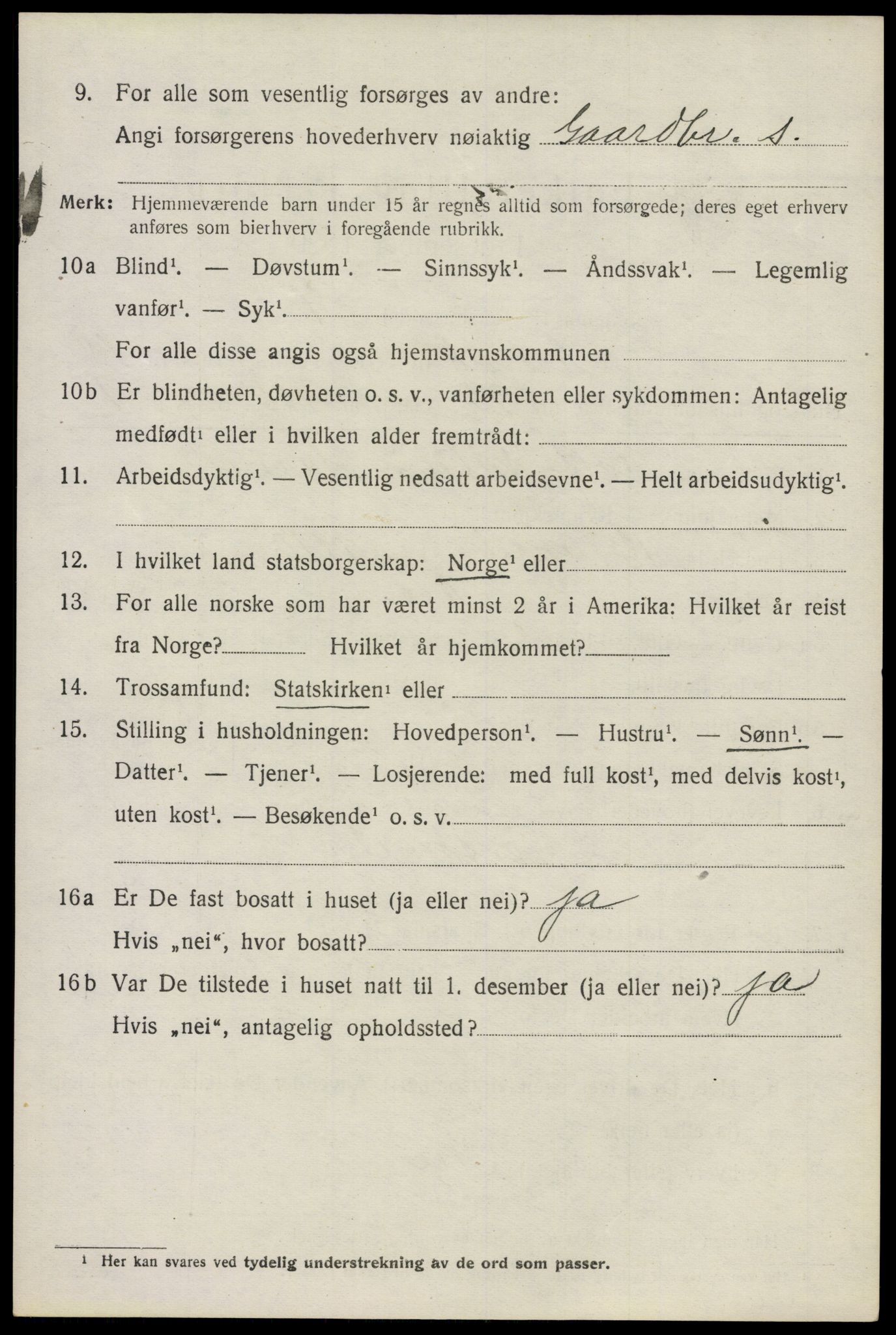 SAO, 1920 census for Nes, 1920, p. 18885