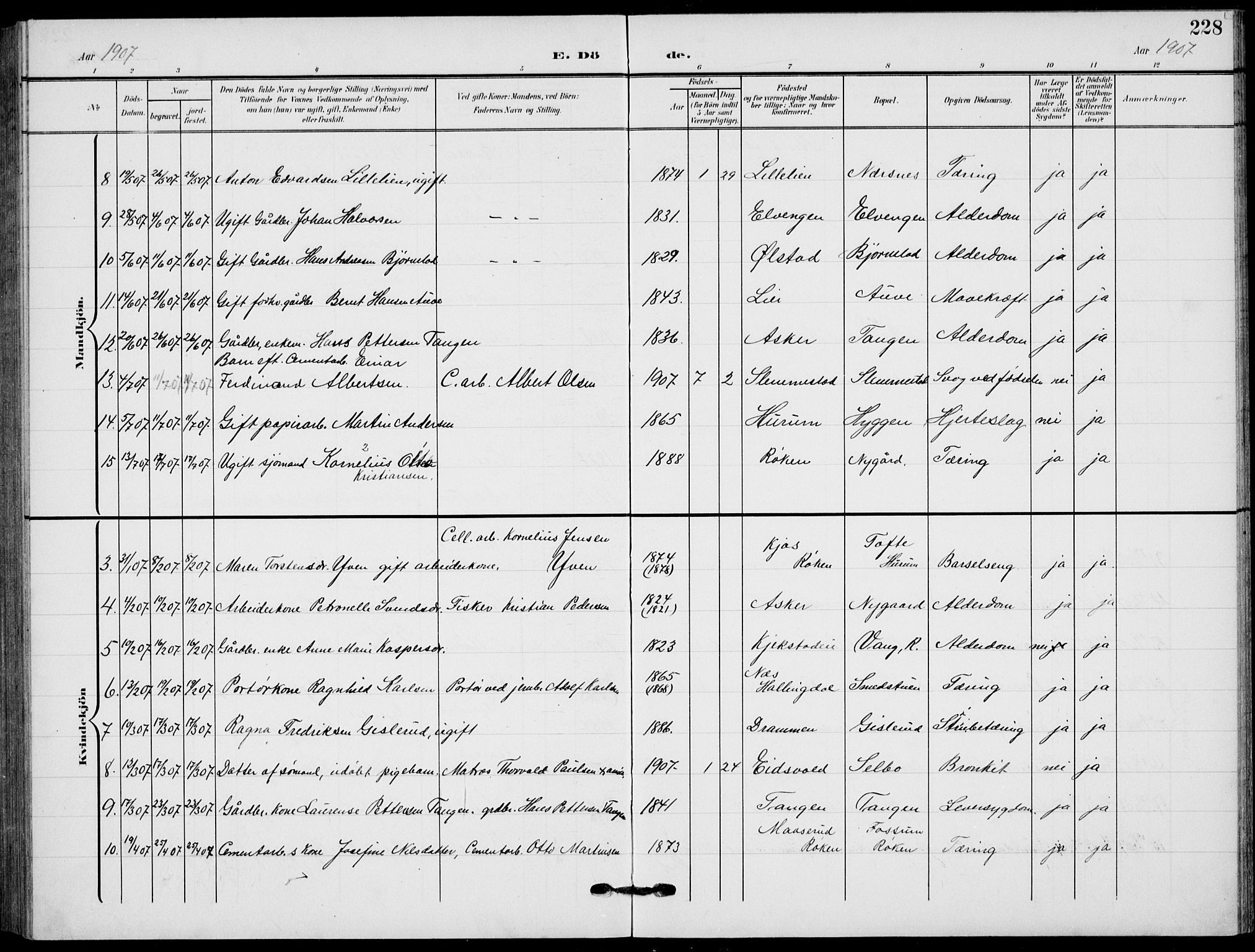 Røyken kirkebøker, AV/SAKO-A-241/G/Ga/L0005: Parish register (copy) no. 5, 1903-1918, p. 228