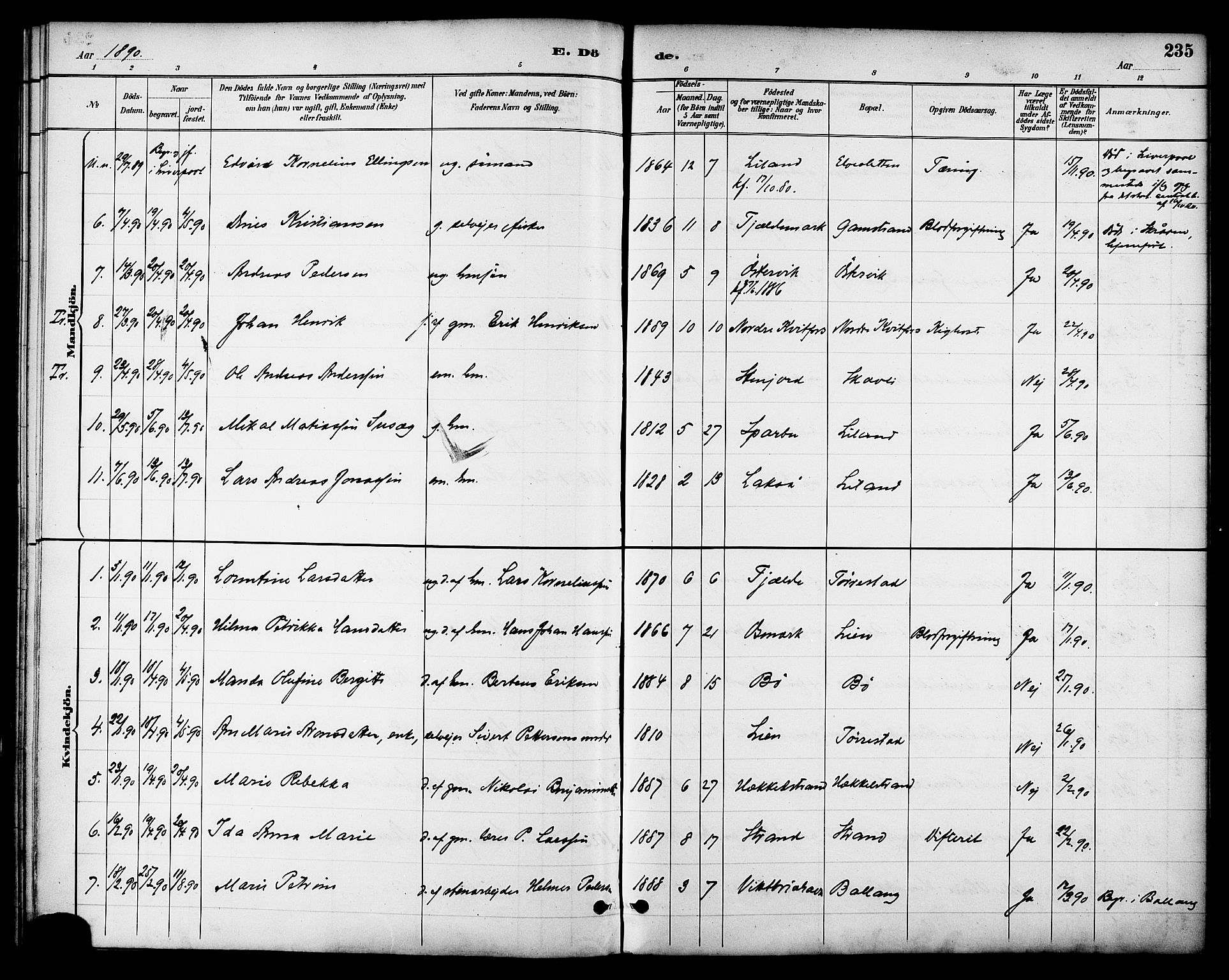 Ministerialprotokoller, klokkerbøker og fødselsregistre - Nordland, AV/SAT-A-1459/863/L0898: Parish register (official) no. 863A10, 1886-1897, p. 235