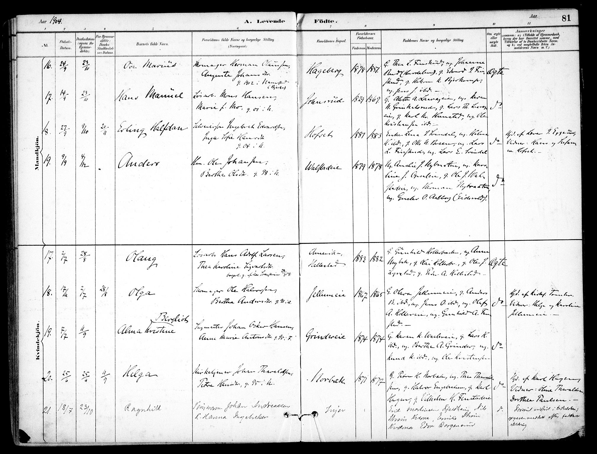Nes prestekontor Kirkebøker, SAO/A-10410/F/Fb/L0002: Parish register (official) no. II 2, 1883-1918, p. 81