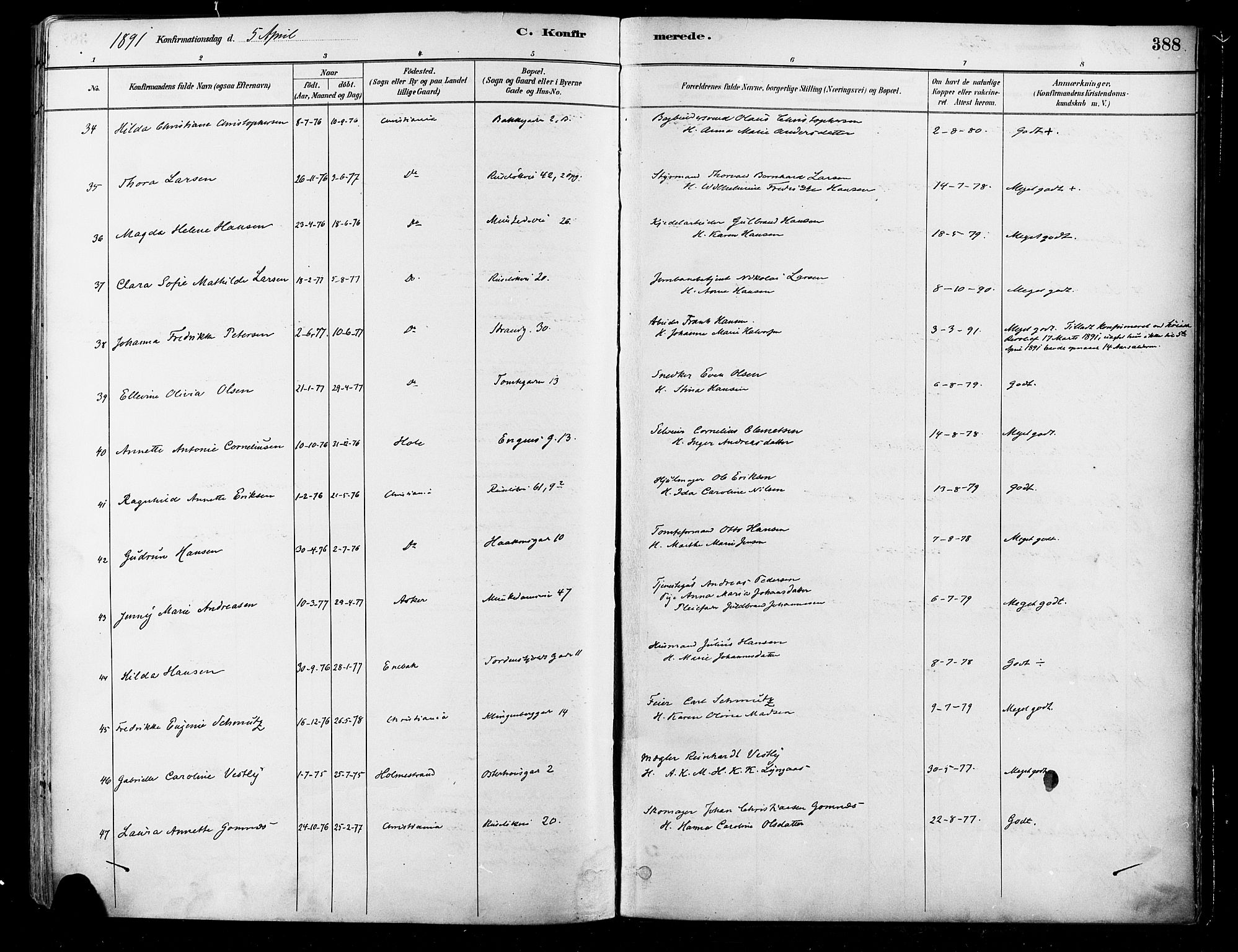 Johannes prestekontor Kirkebøker, SAO/A-10852/F/Fa/L0003: Parish register (official) no. 3, 1882-1896, p. 388
