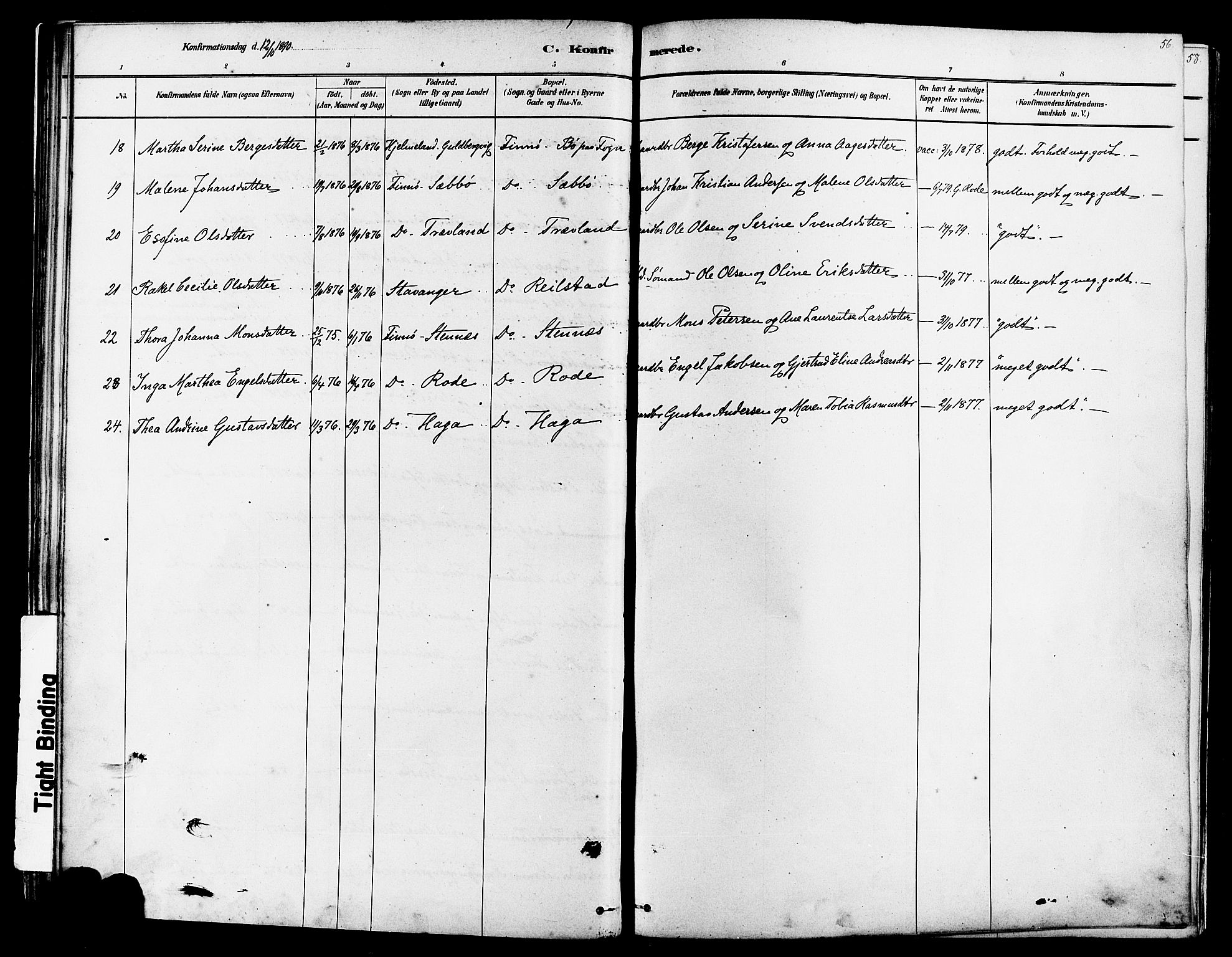 Finnøy sokneprestkontor, AV/SAST-A-101825/H/Ha/Haa/L0010: Parish register (official) no. A 10, 1879-1890, p. 56