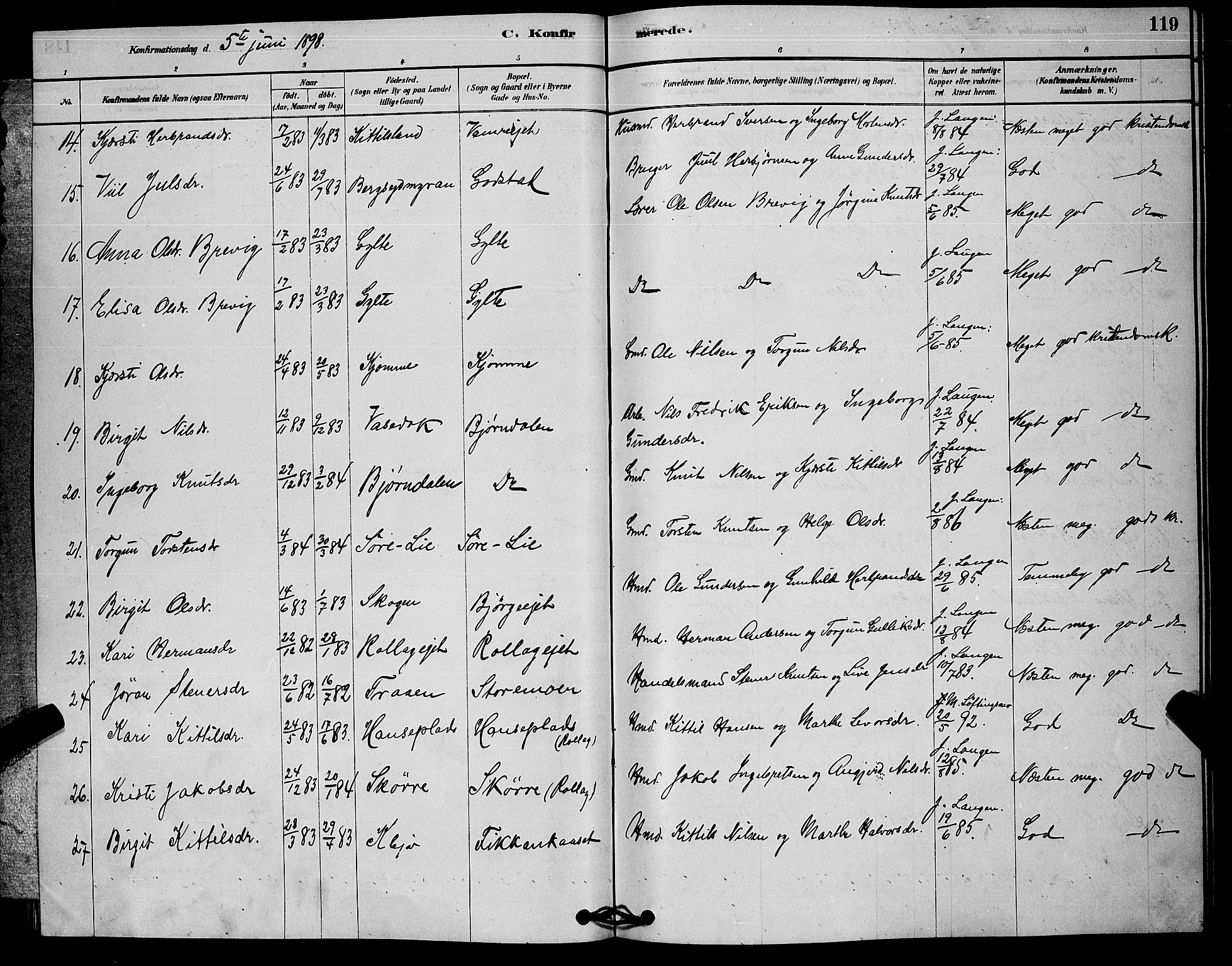 Rollag kirkebøker, AV/SAKO-A-240/G/Ga/L0004: Parish register (copy) no. I 4, 1878-1903, p. 119