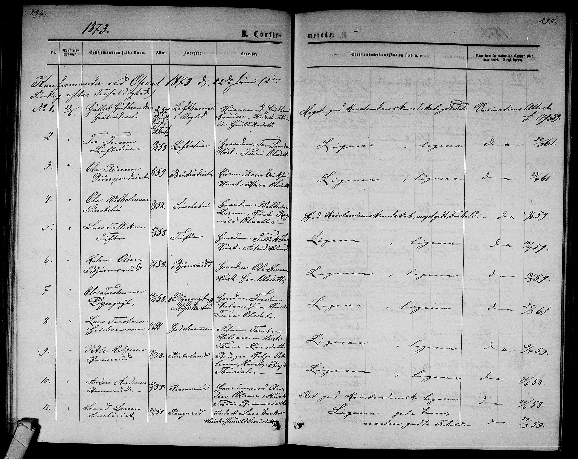Nore kirkebøker, SAKO/A-238/G/Gb/L0001: Parish register (copy) no. II 1, 1862-1877, p. 296-297