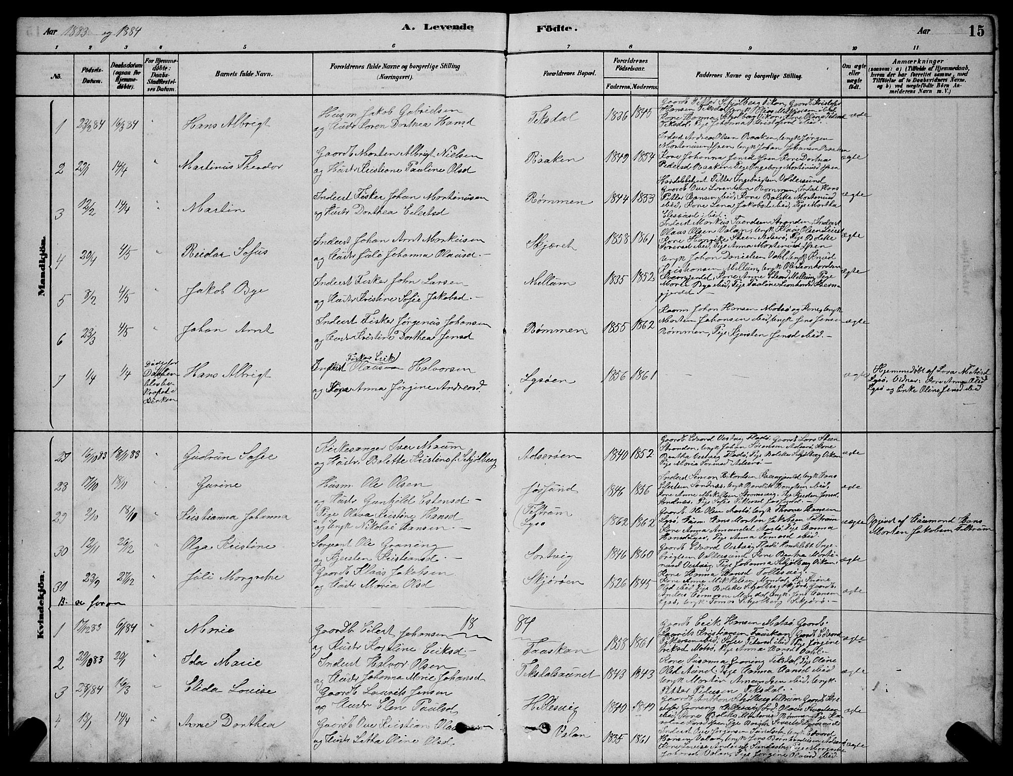 Ministerialprotokoller, klokkerbøker og fødselsregistre - Sør-Trøndelag, SAT/A-1456/654/L0665: Parish register (copy) no. 654C01, 1879-1901, p. 15