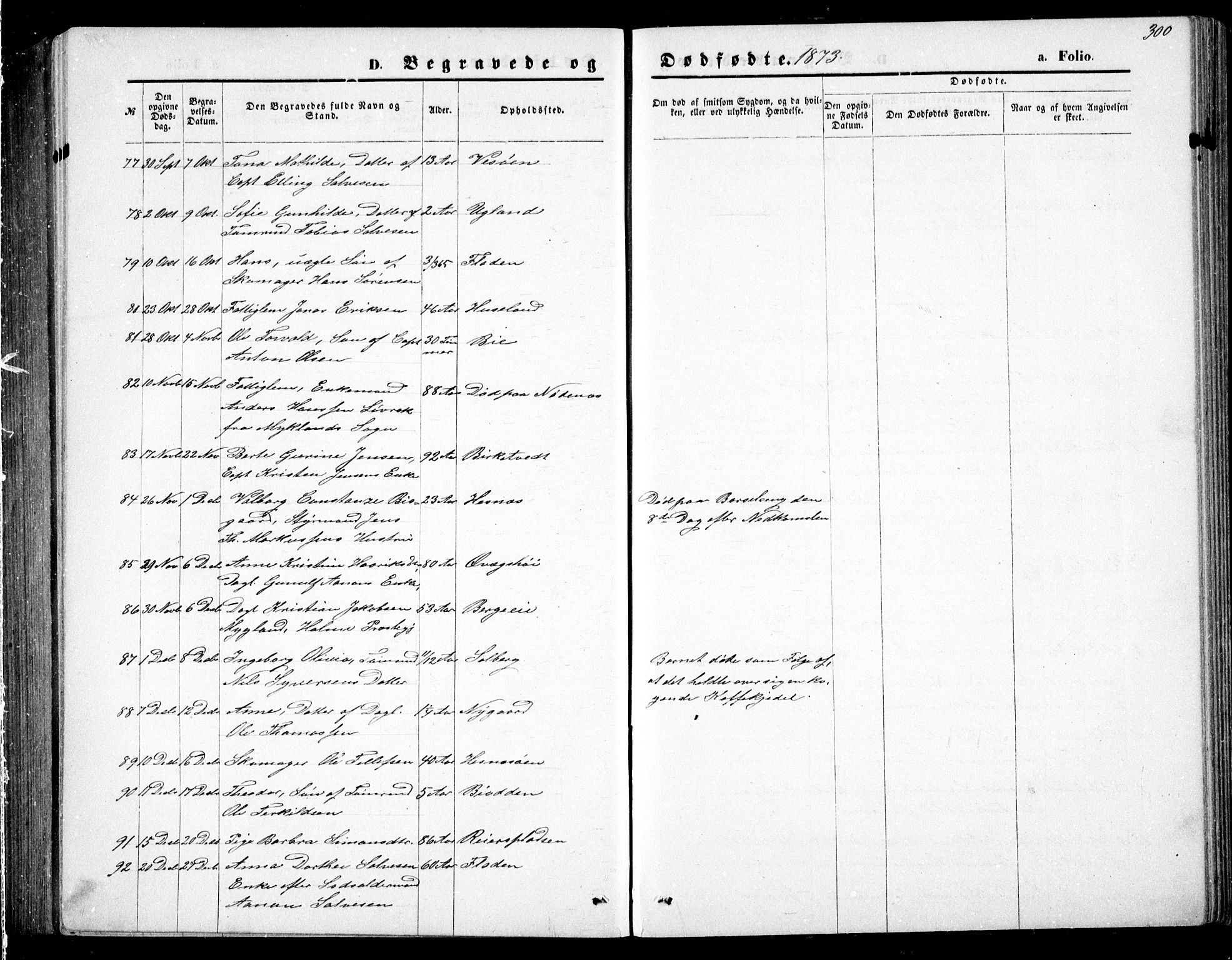 Fjære sokneprestkontor, AV/SAK-1111-0011/F/Fb/L0010: Parish register (copy) no. B 10, 1871-1880, p. 300