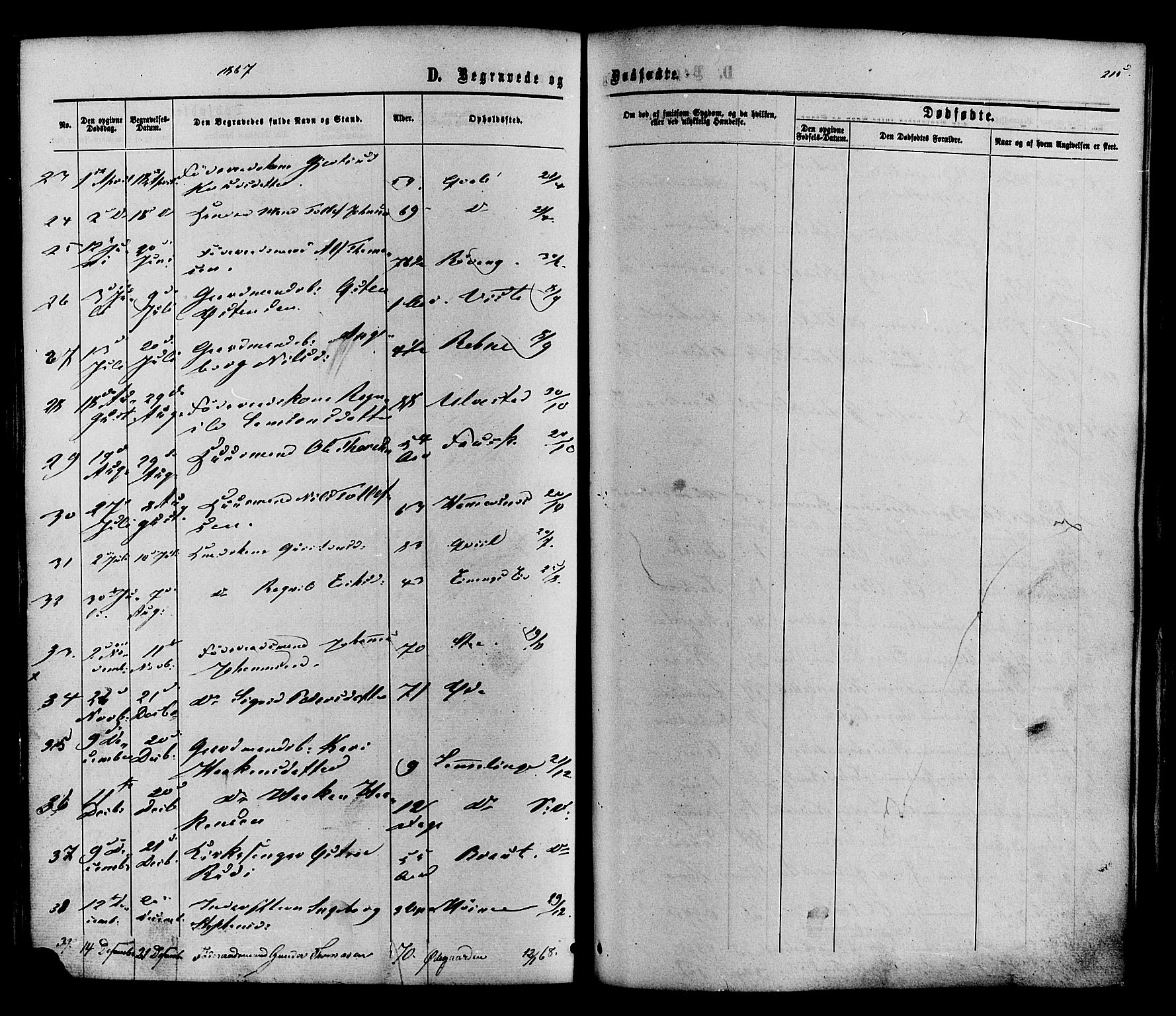 Vestre Slidre prestekontor, SAH/PREST-136/H/Ha/Haa/L0003: Parish register (official) no. 3, 1865-1880, p. 215
