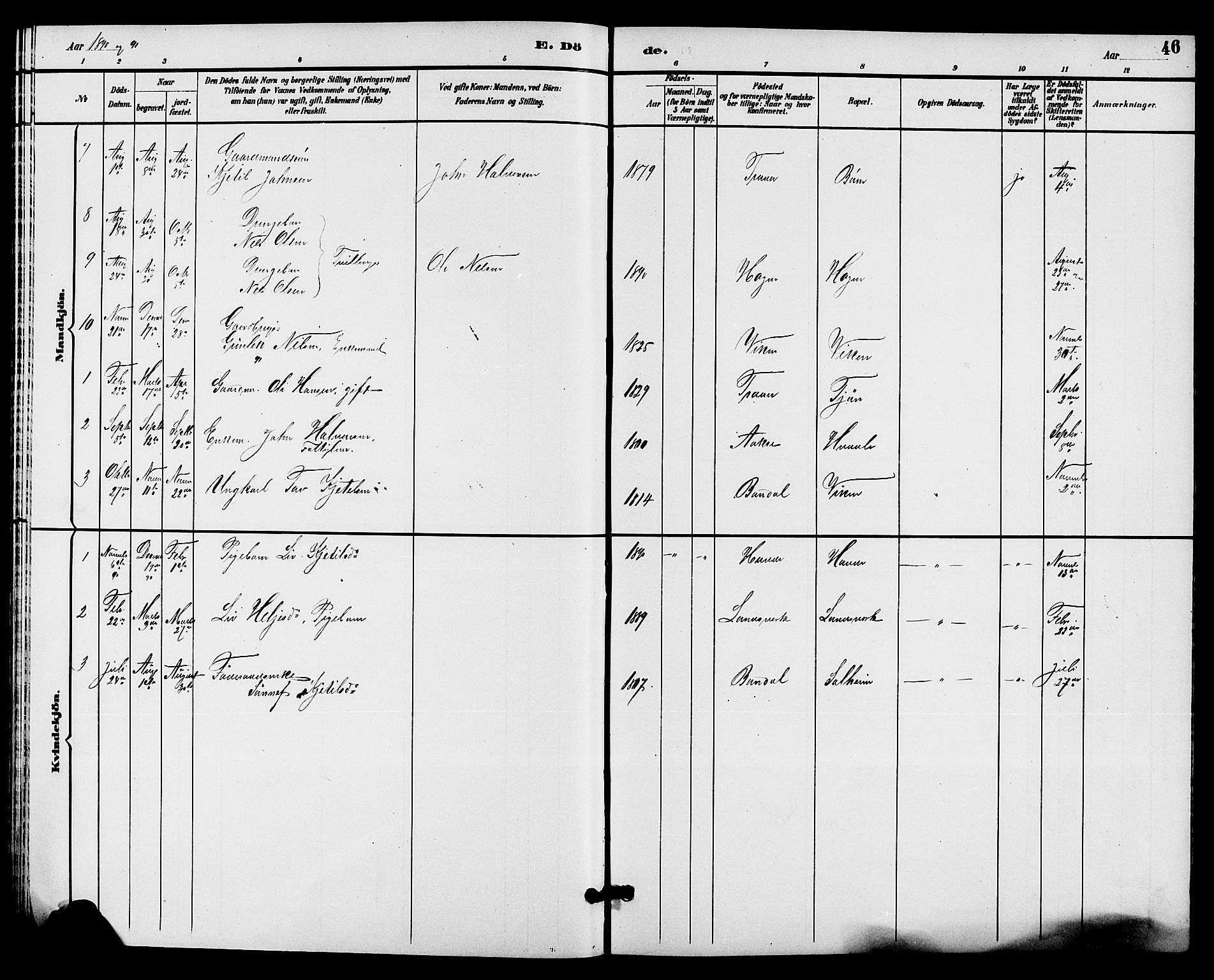 Hjartdal kirkebøker, SAKO/A-270/G/Gc/L0003: Parish register (copy) no. III 3, 1890-1907, p. 46
