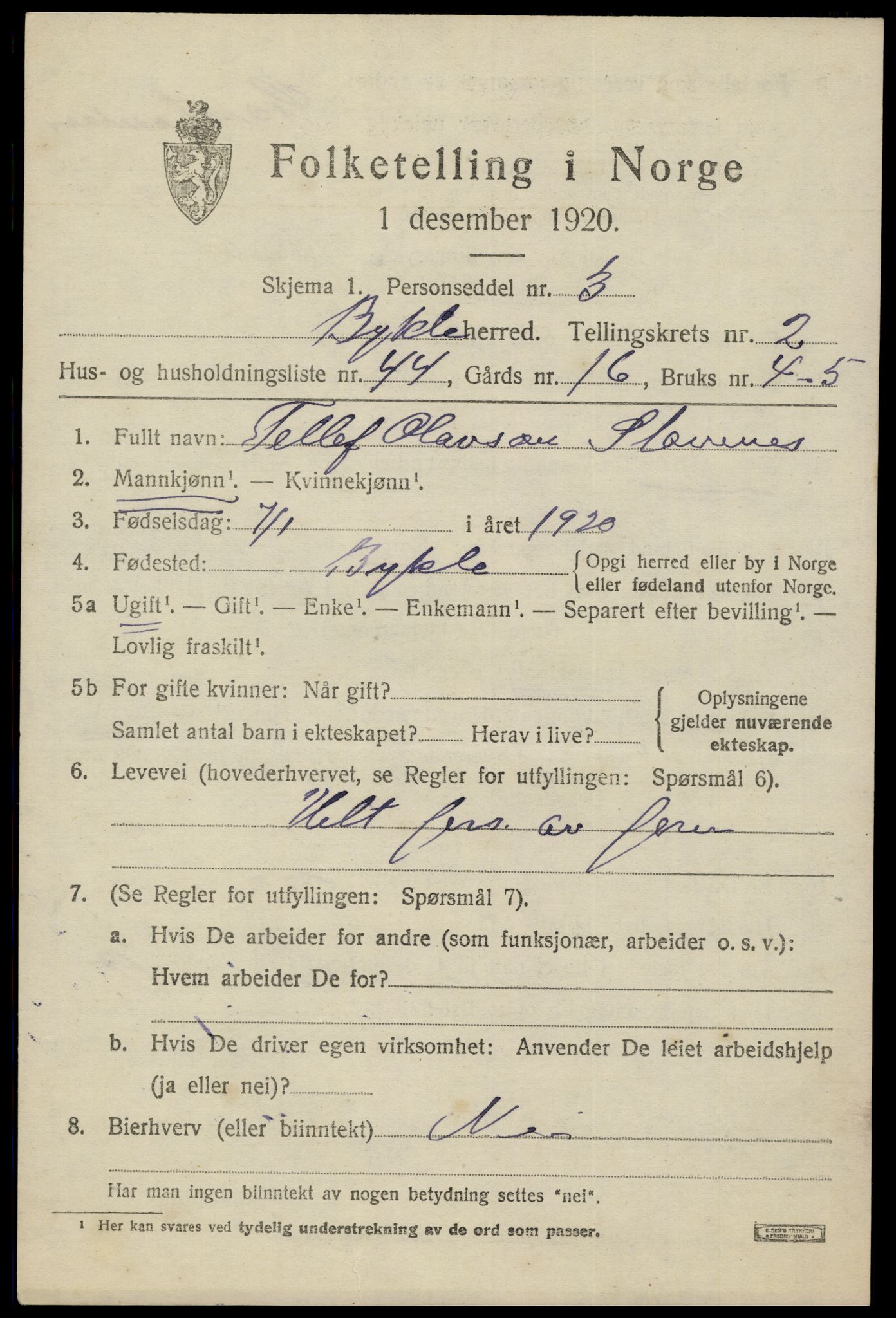 SAK, 1920 census for Bykle, 1920, p. 1019