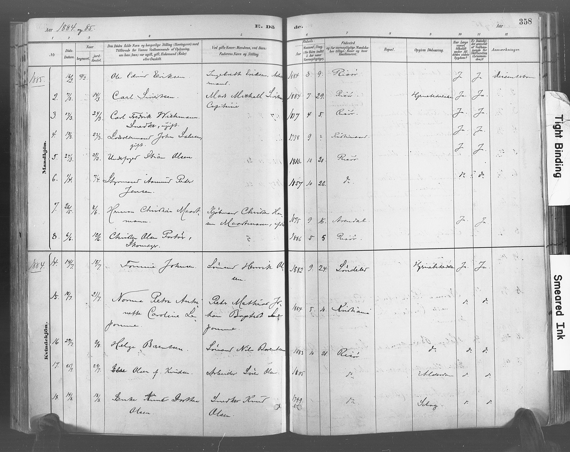 Risør sokneprestkontor, AV/SAK-1111-0035/F/Fa/L0005: Parish register (official) no. A 5, 1883-1895, p. 358