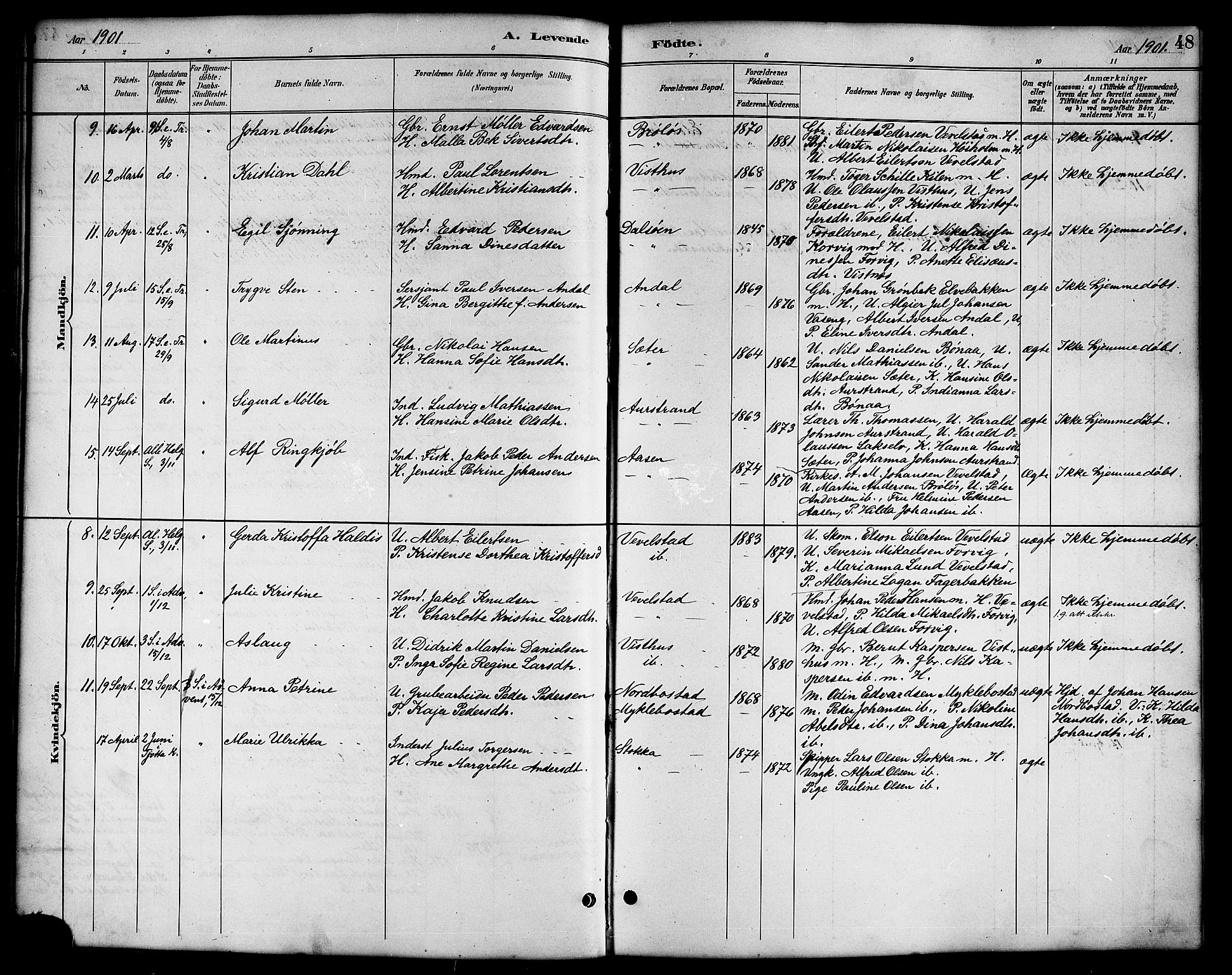 Ministerialprotokoller, klokkerbøker og fødselsregistre - Nordland, AV/SAT-A-1459/819/L0277: Parish register (copy) no. 819C03, 1888-1917, p. 48