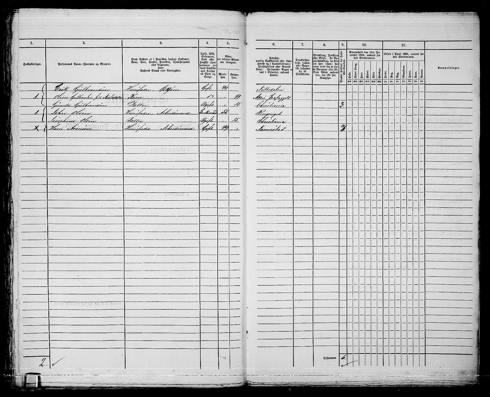 RA, 1865 census for Kristiania, 1865, p. 4891