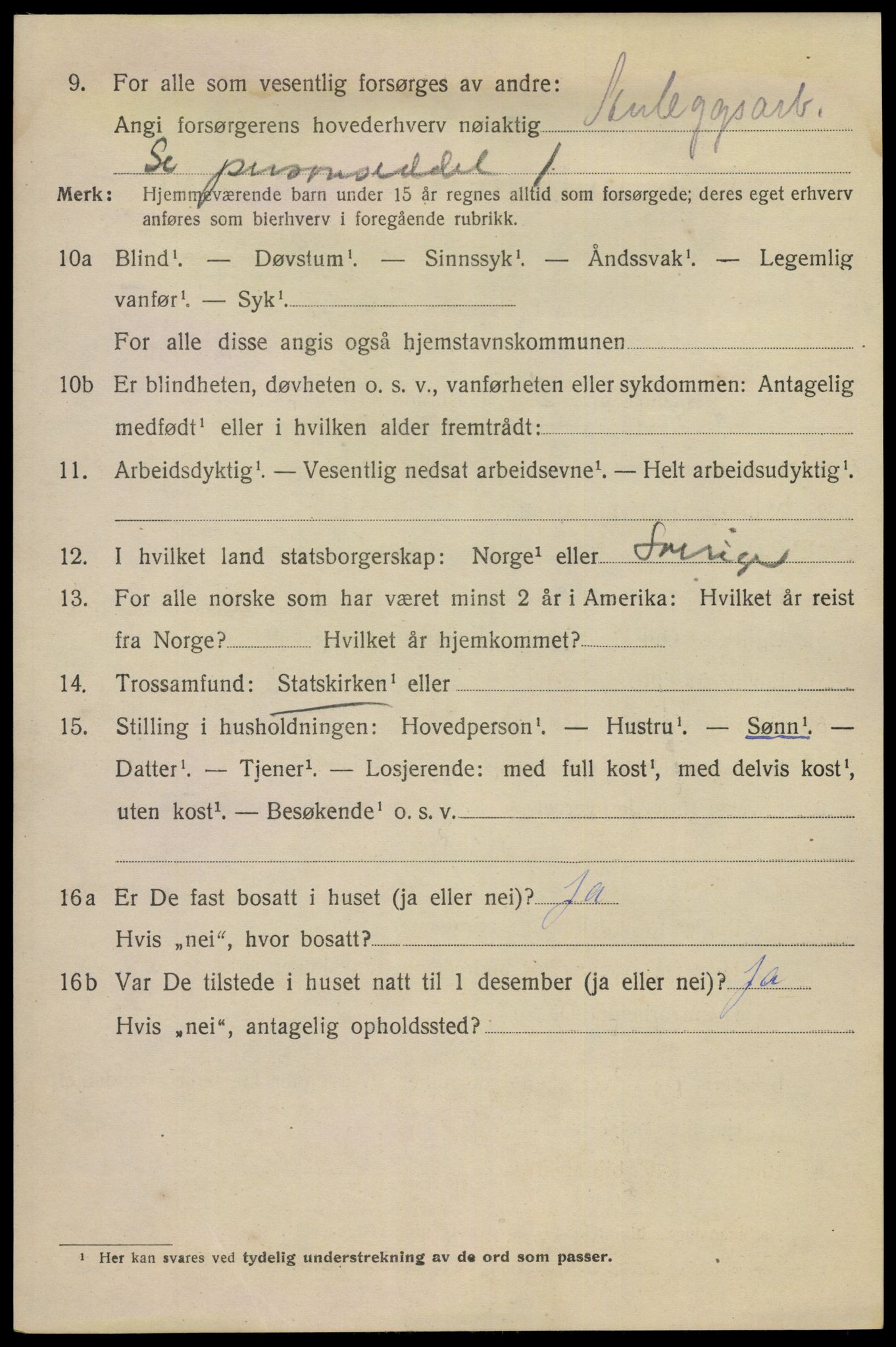 SAKO, 1920 census for Notodden, 1920, p. 11669