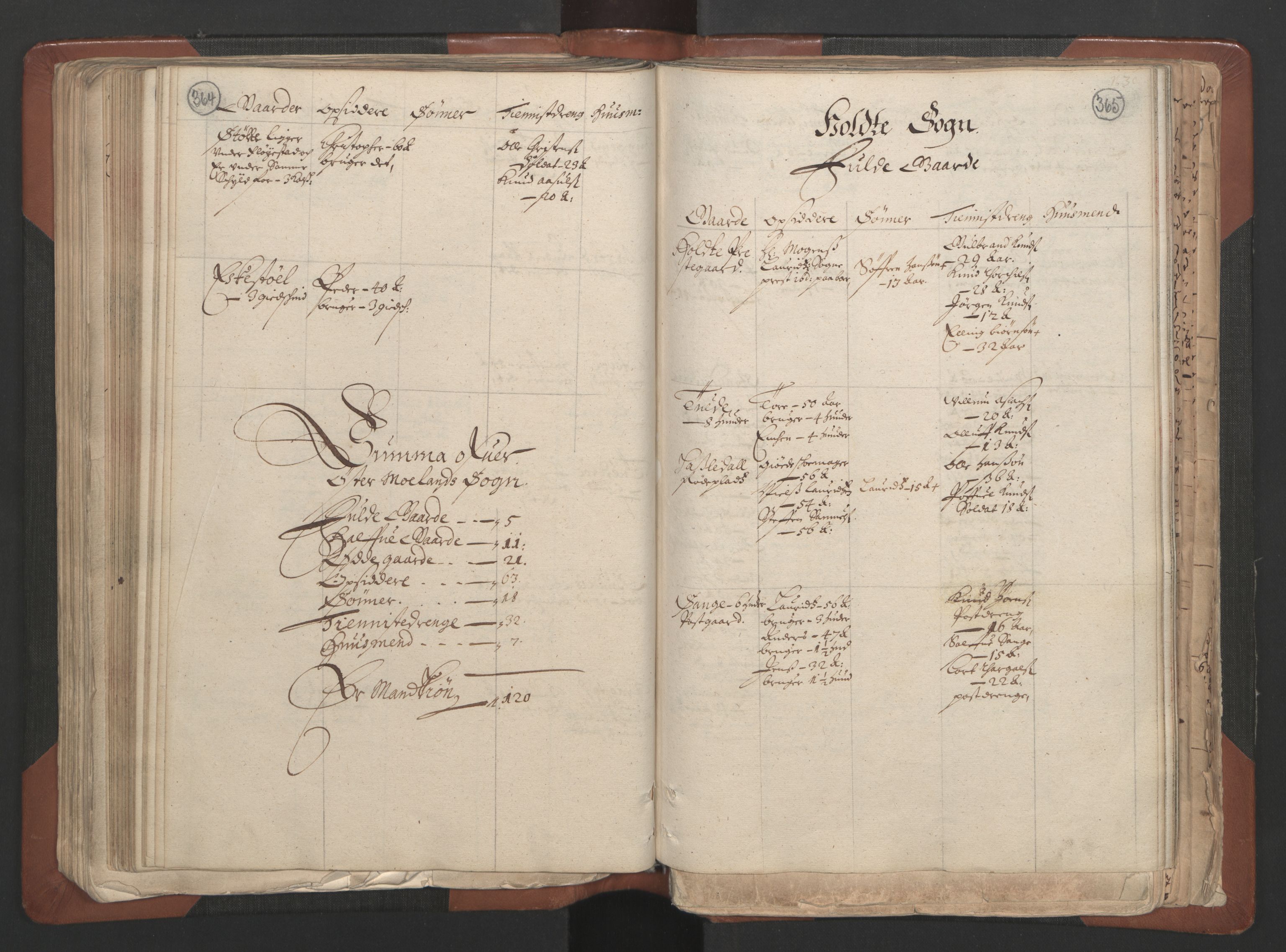 RA, Bailiff's Census 1664-1666, no. 7: Nedenes fogderi, 1664-1666, p. 364-365