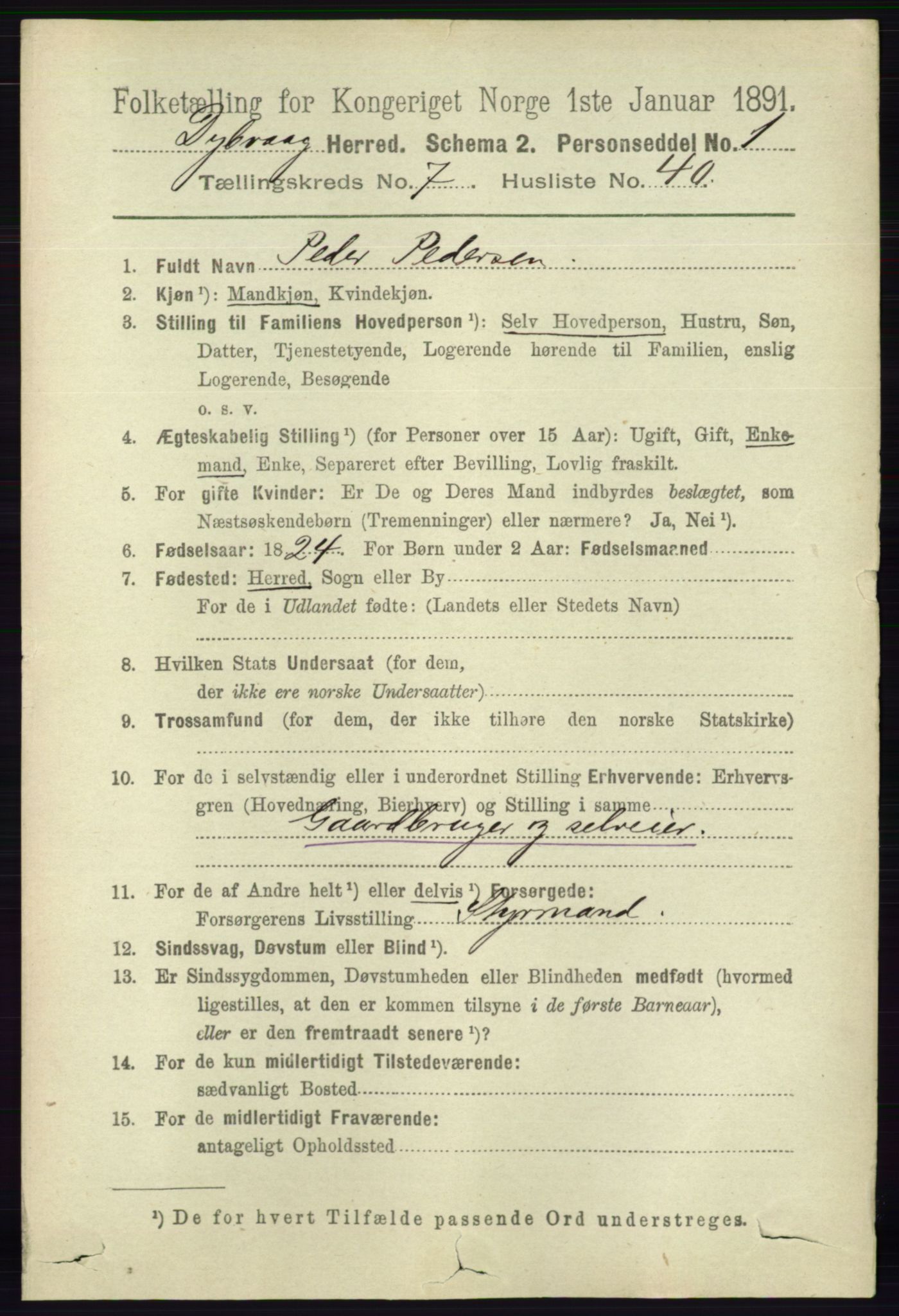 RA, 1891 census for 0915 Dypvåg, 1891, p. 2634