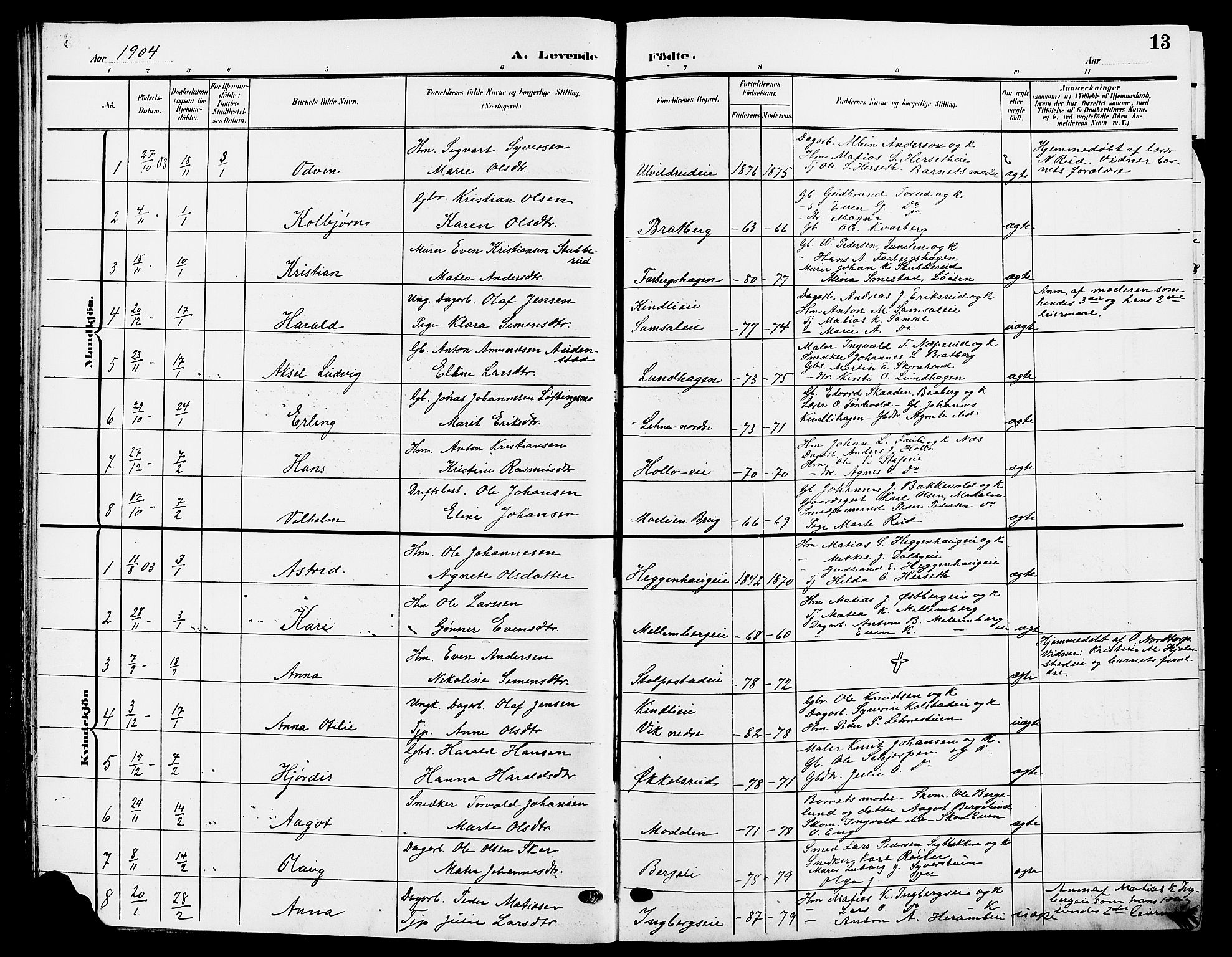 Ringsaker prestekontor, SAH/PREST-014/L/La/L0015: Parish register (copy) no. 15, 1903-1912, p. 13