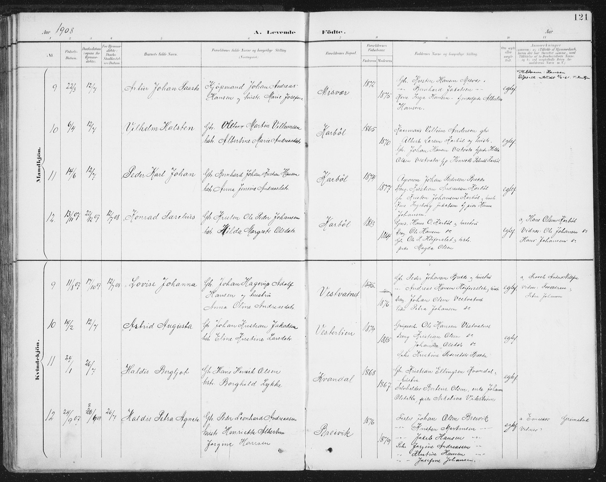 Ministerialprotokoller, klokkerbøker og fødselsregistre - Nordland, SAT/A-1459/852/L0741: Parish register (official) no. 852A11, 1894-1917, p. 121