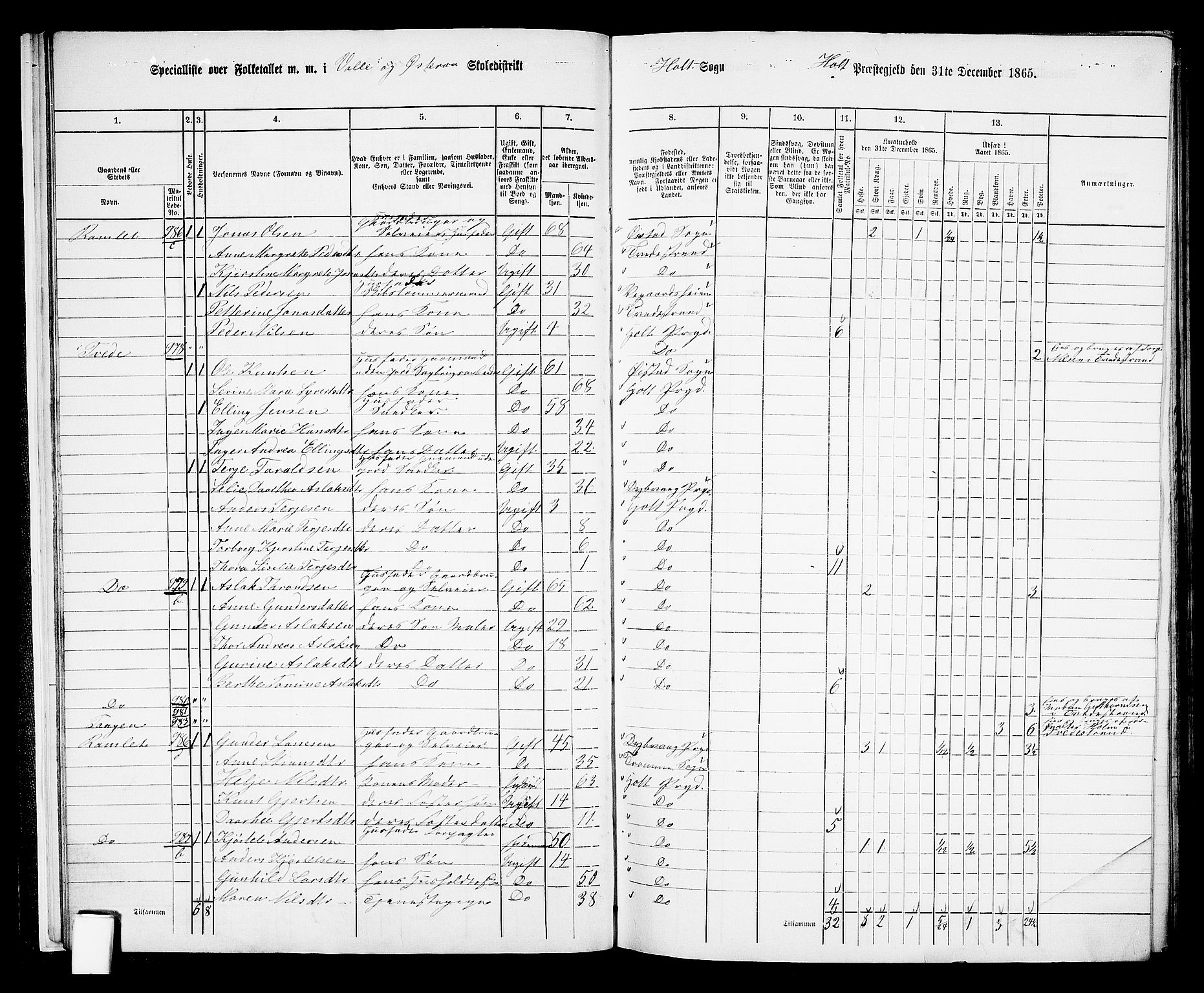 RA, 1865 census for Holt/Holt, 1865, p. 19