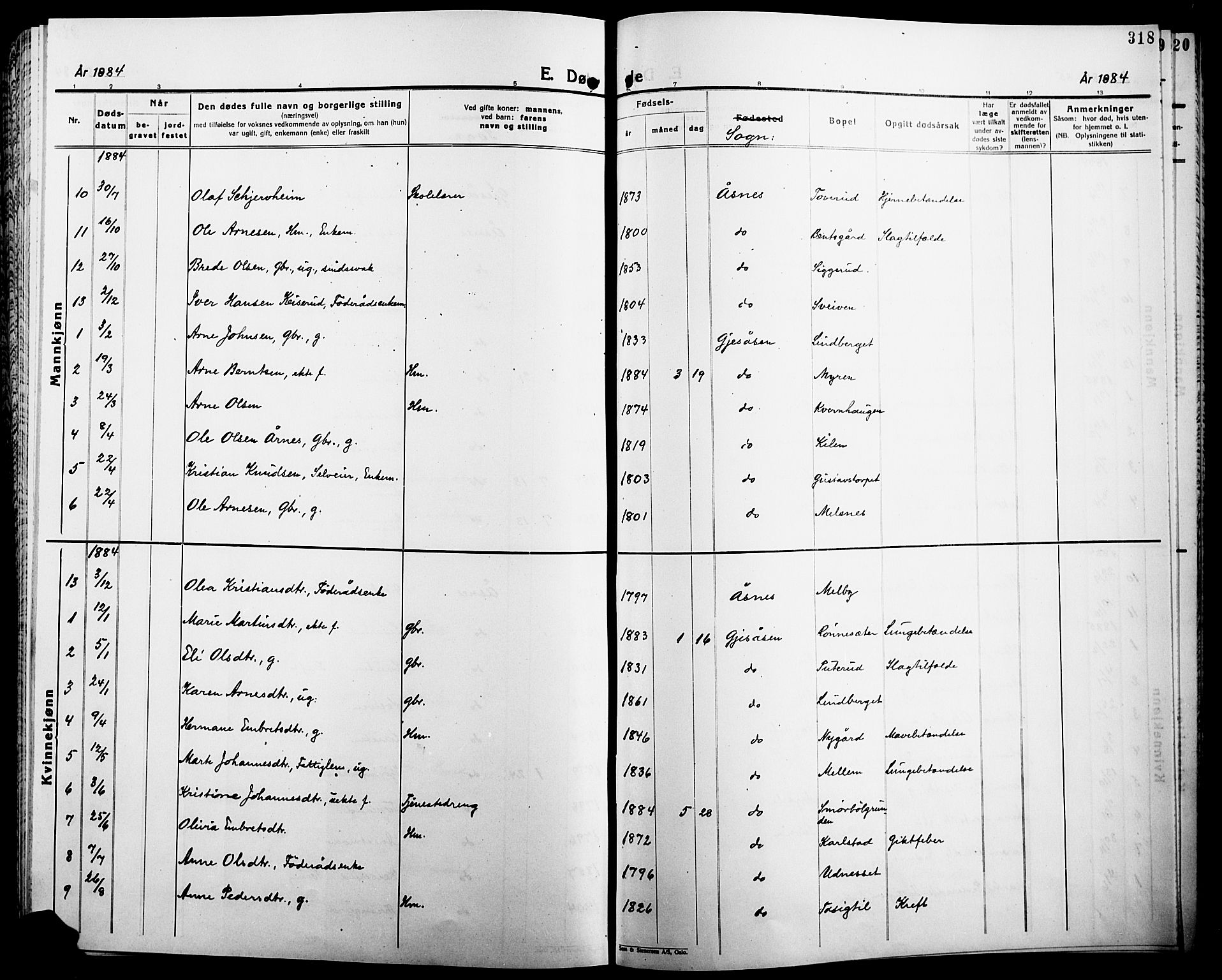 Åsnes prestekontor, AV/SAH-PREST-042/H/Ha/Haa/L0000B: Parish register (official), 1870-1889, p. 318