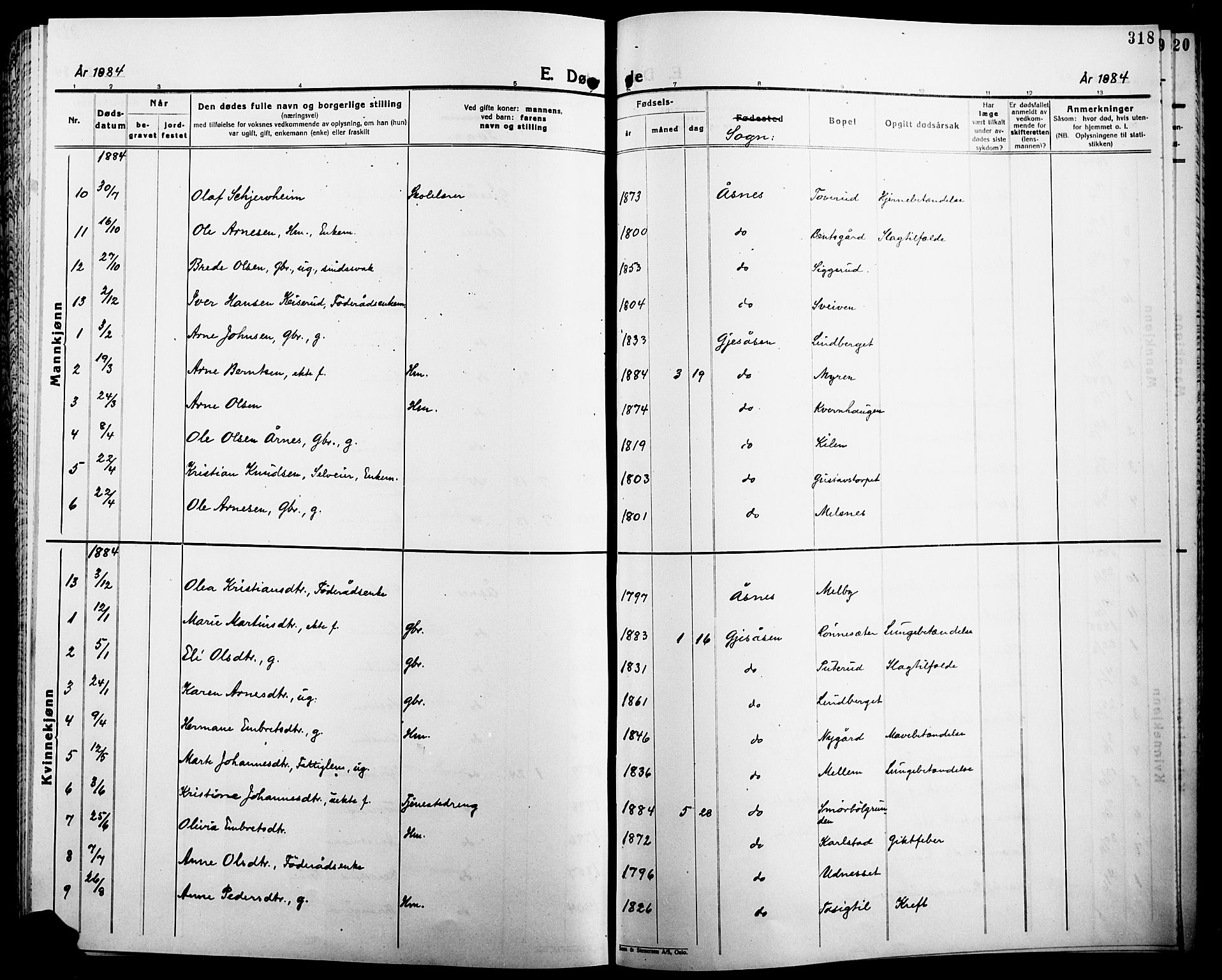 Åsnes prestekontor, SAH/PREST-042/H/Ha/Haa/L0000B: Parish register (official), 1870-1889, p. 318