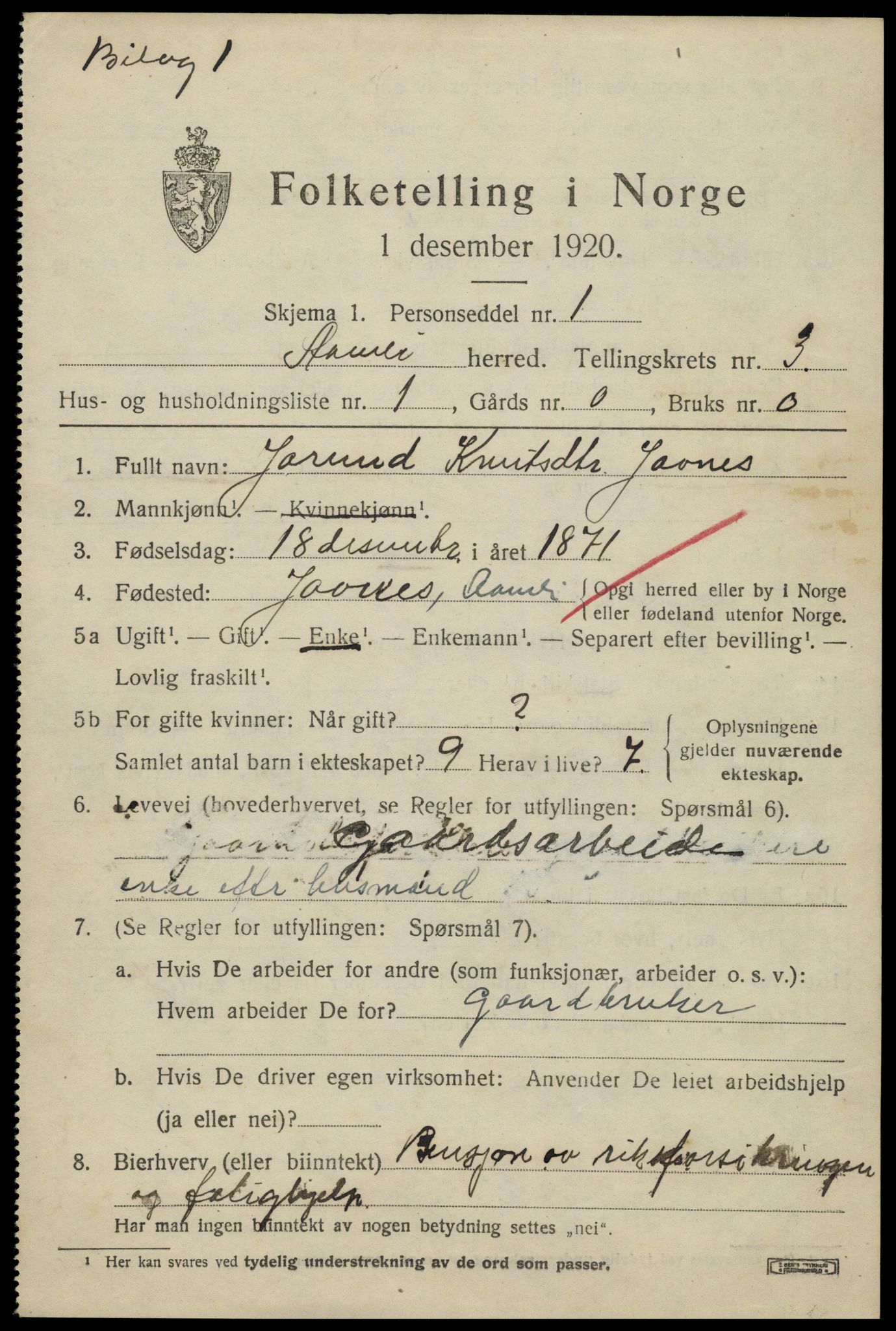 SAK, 1920 census for Åmli, 1920, p. 1251