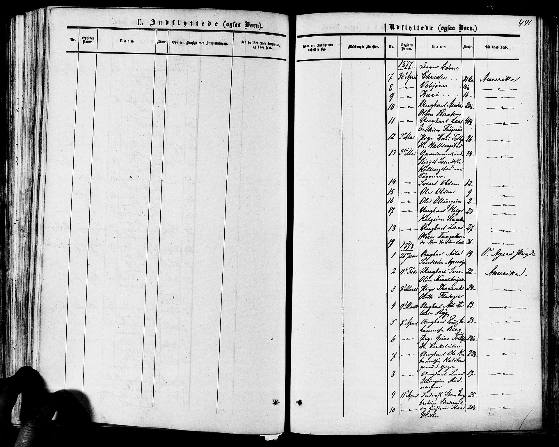 Hol kirkebøker, SAKO/A-227/F/Fa/L0002: Parish register (official) no. I 2, 1870-1886, p. 441