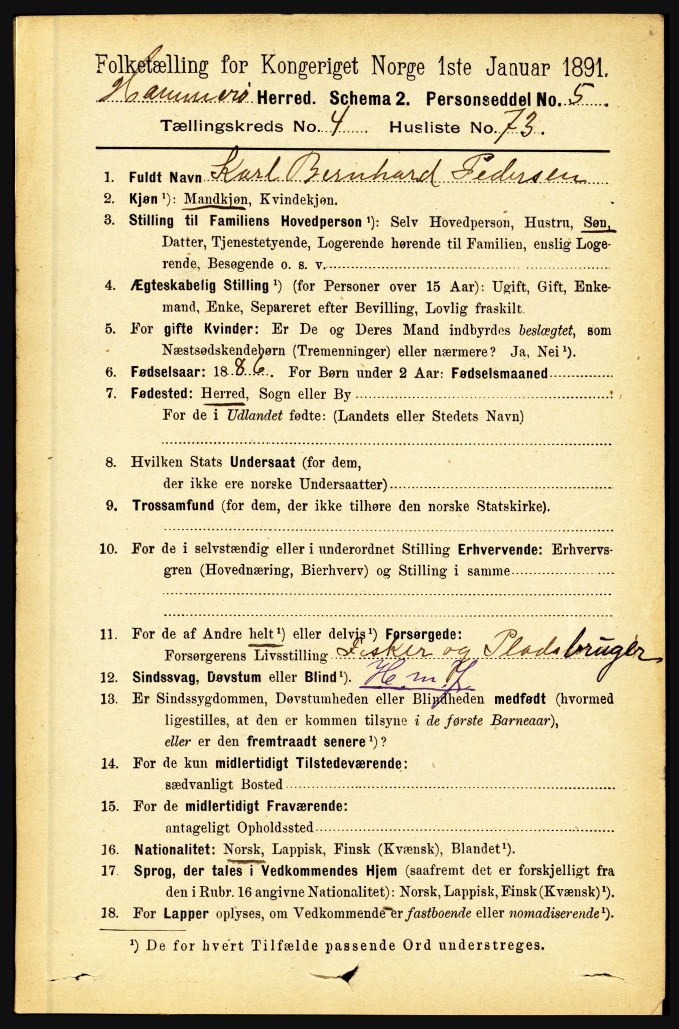 RA, 1891 census for 1849 Hamarøy, 1891, p. 2404