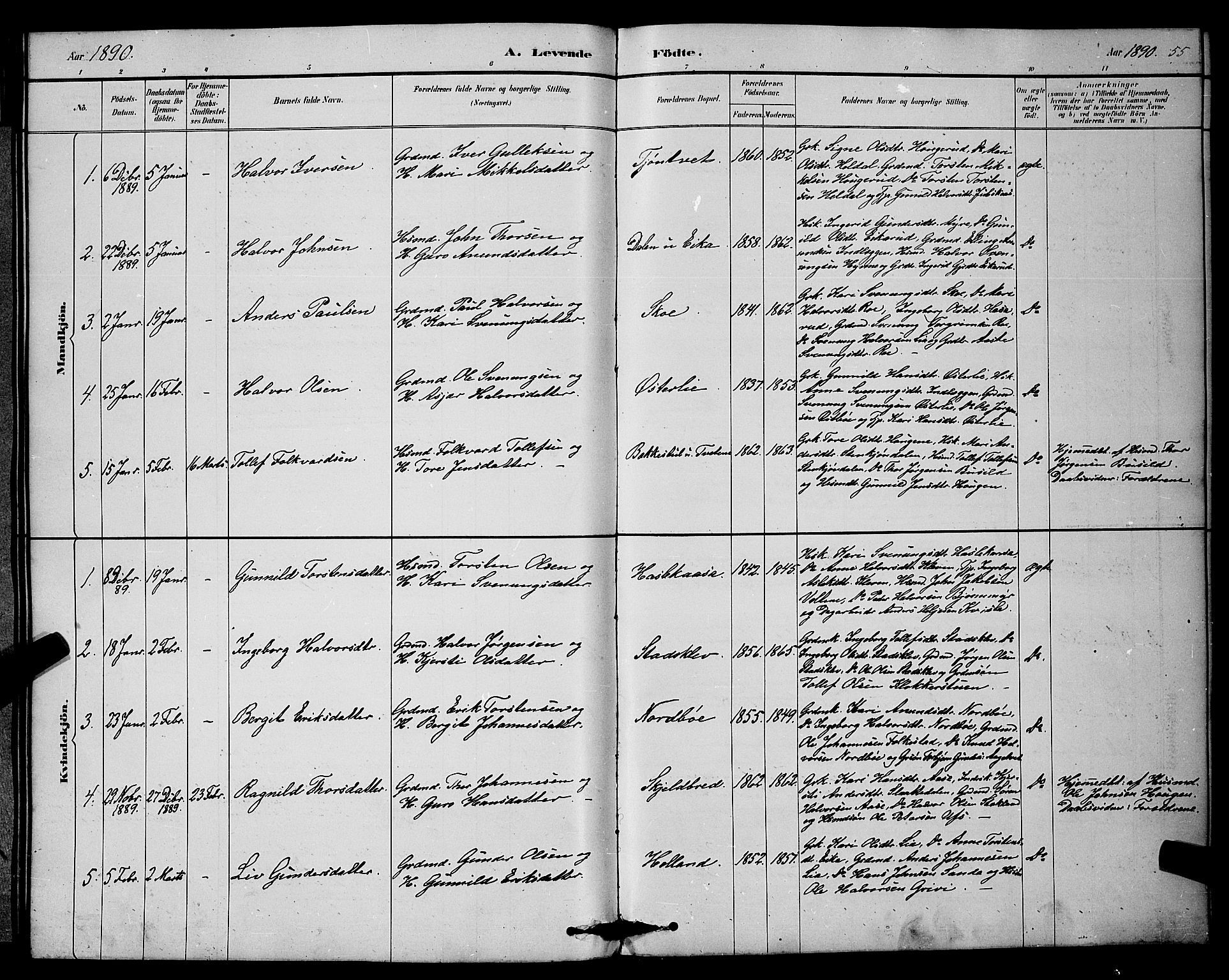 Bø kirkebøker, SAKO/A-257/G/Ga/L0005: Parish register (copy) no. 5, 1883-1897, p. 55