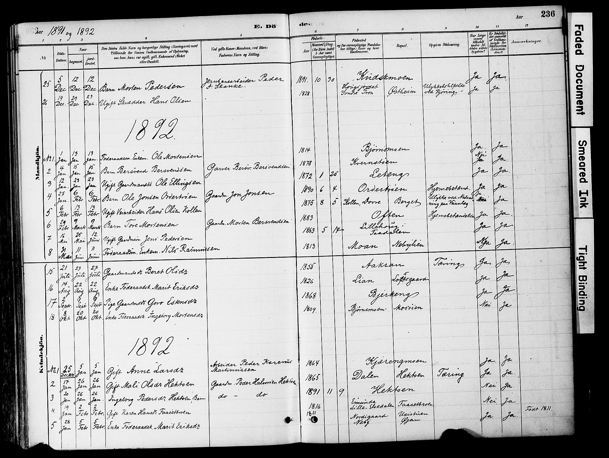 Tynset prestekontor, SAH/PREST-058/H/Ha/Haa/L0022: Parish register (official) no. 22, 1880-1899, p. 236