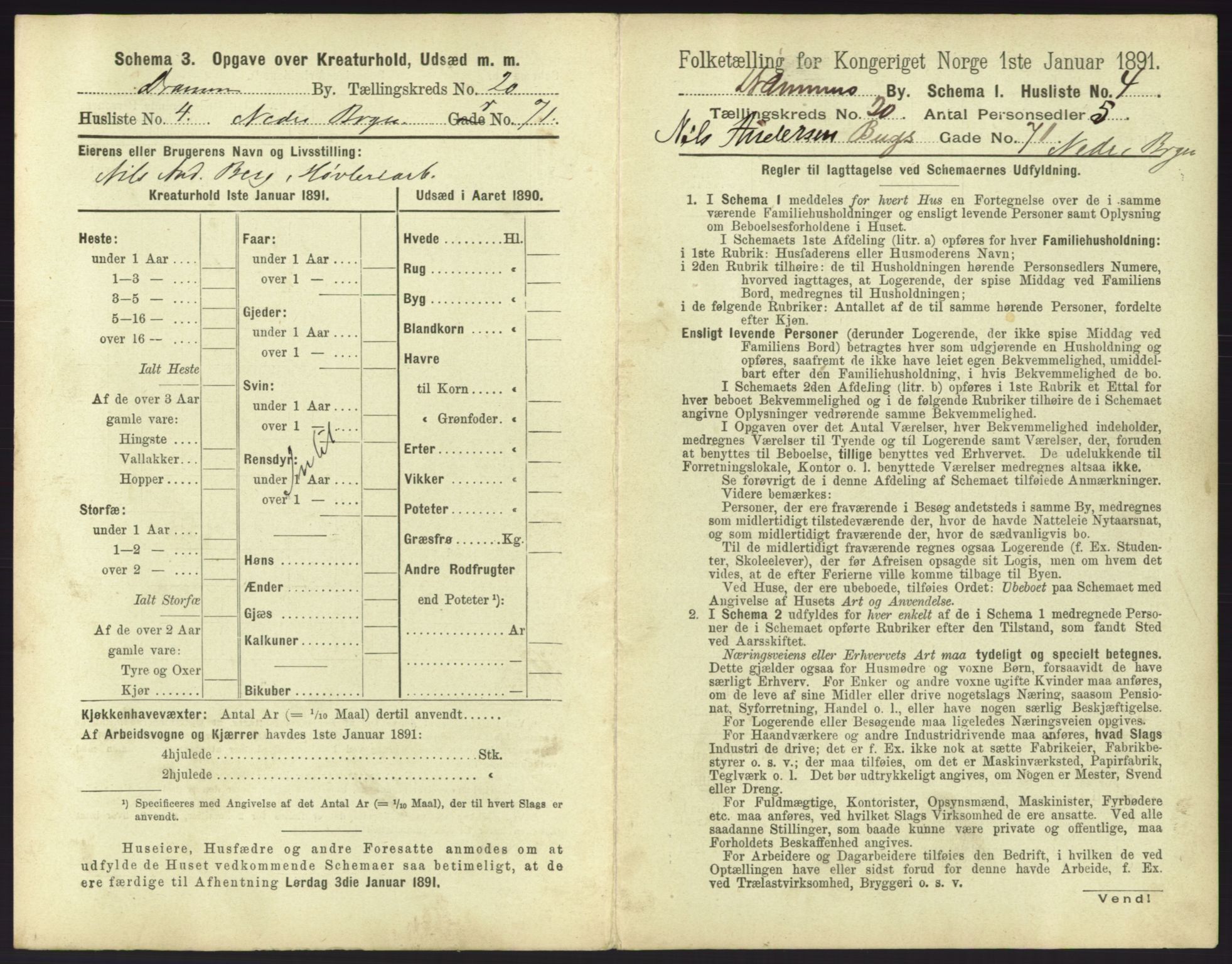 RA, 1891 census for 0602 Drammen, 1891, p. 1661