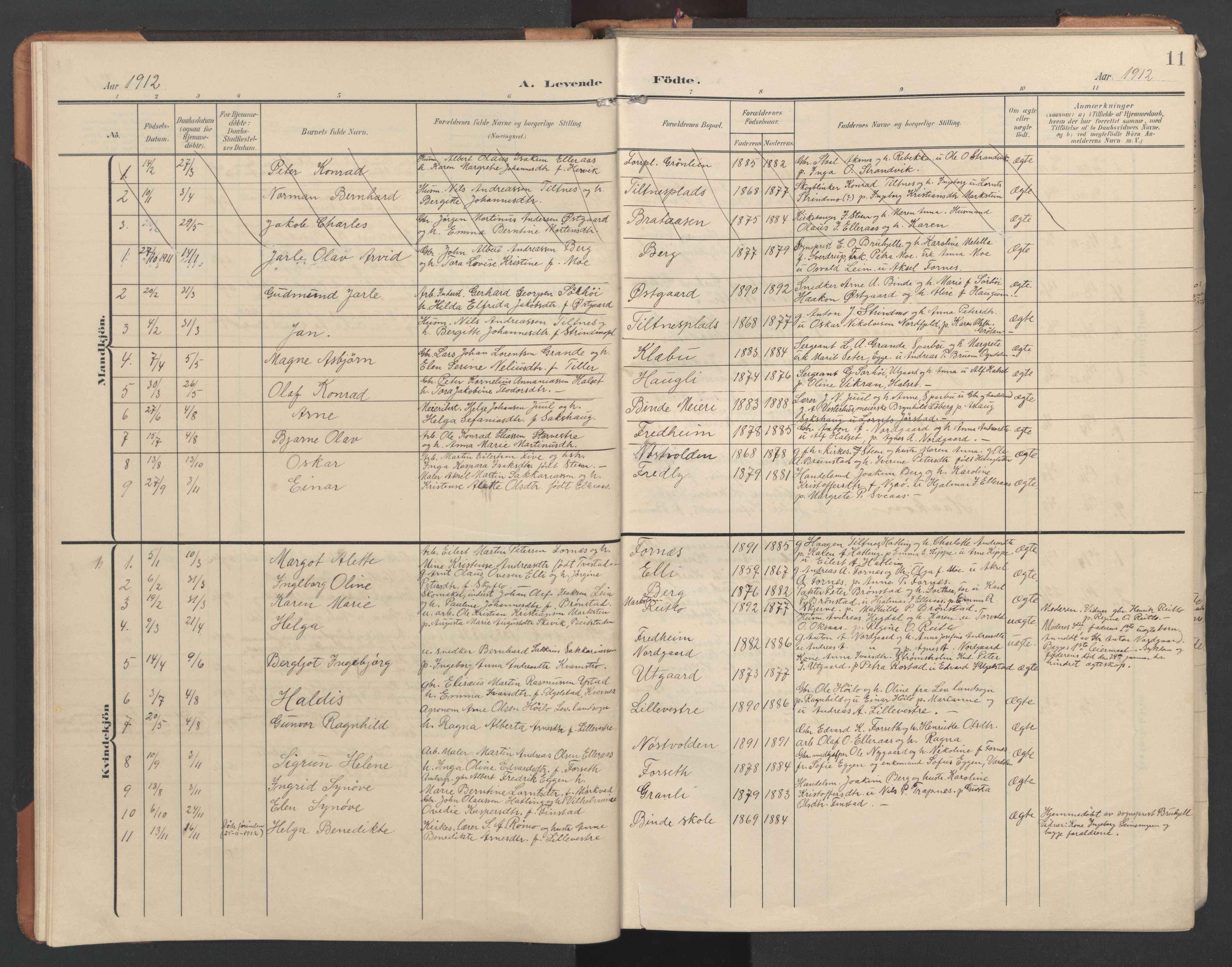 Ministerialprotokoller, klokkerbøker og fødselsregistre - Nord-Trøndelag, SAT/A-1458/746/L0455: Parish register (copy) no. 746C01, 1908-1933, p. 11