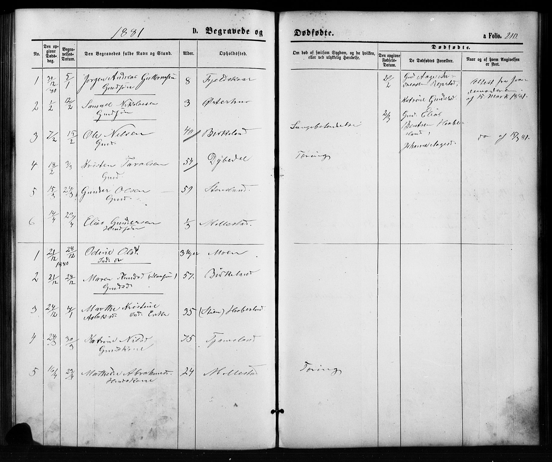 Birkenes sokneprestkontor, SAK/1111-0004/F/Fb/L0003: Parish register (copy) no. B 3, 1876-1892, p. 210