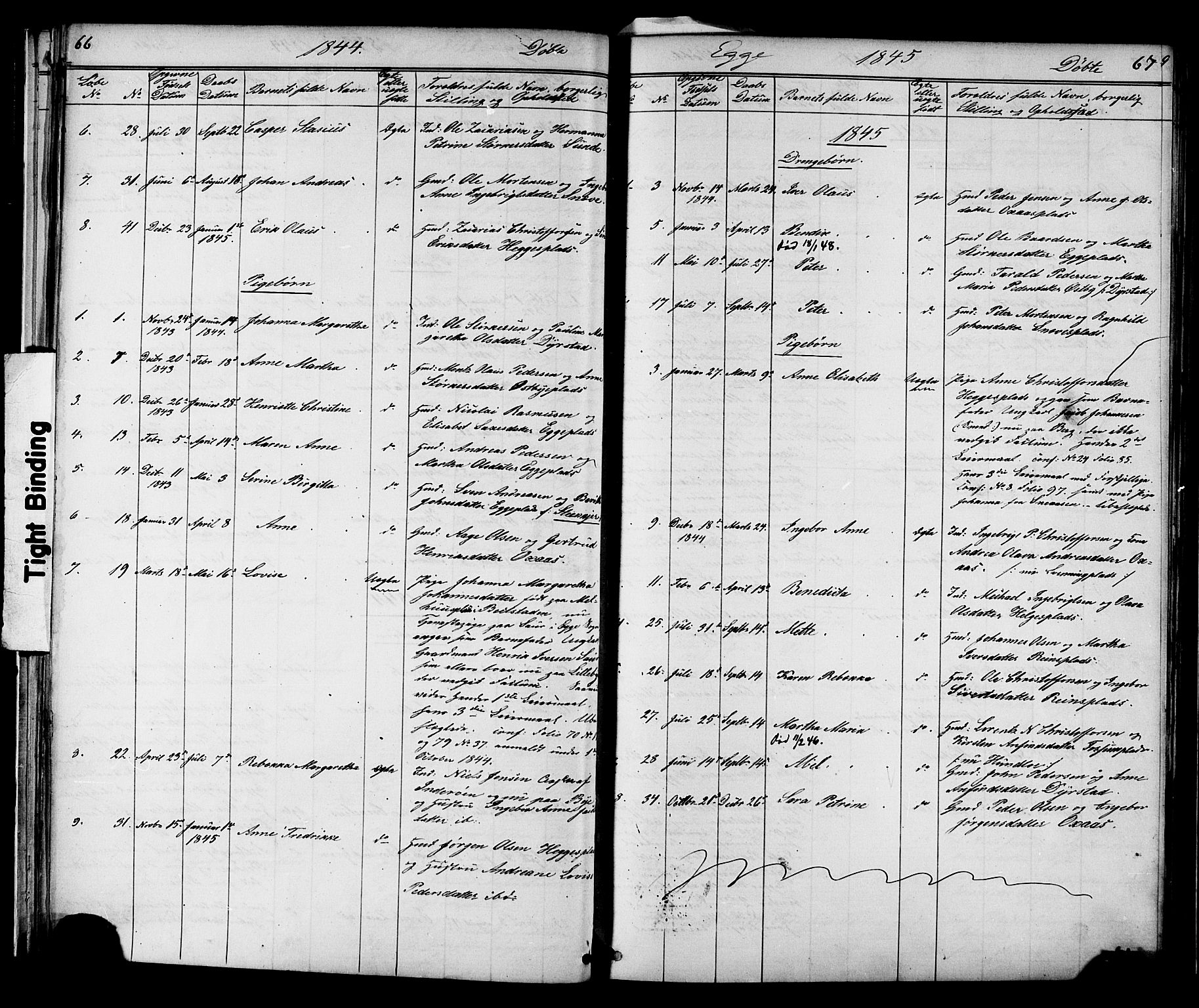 Ministerialprotokoller, klokkerbøker og fødselsregistre - Nord-Trøndelag, SAT/A-1458/739/L0367: Parish register (official) no. 739A01 /3, 1838-1868, p. 66-67