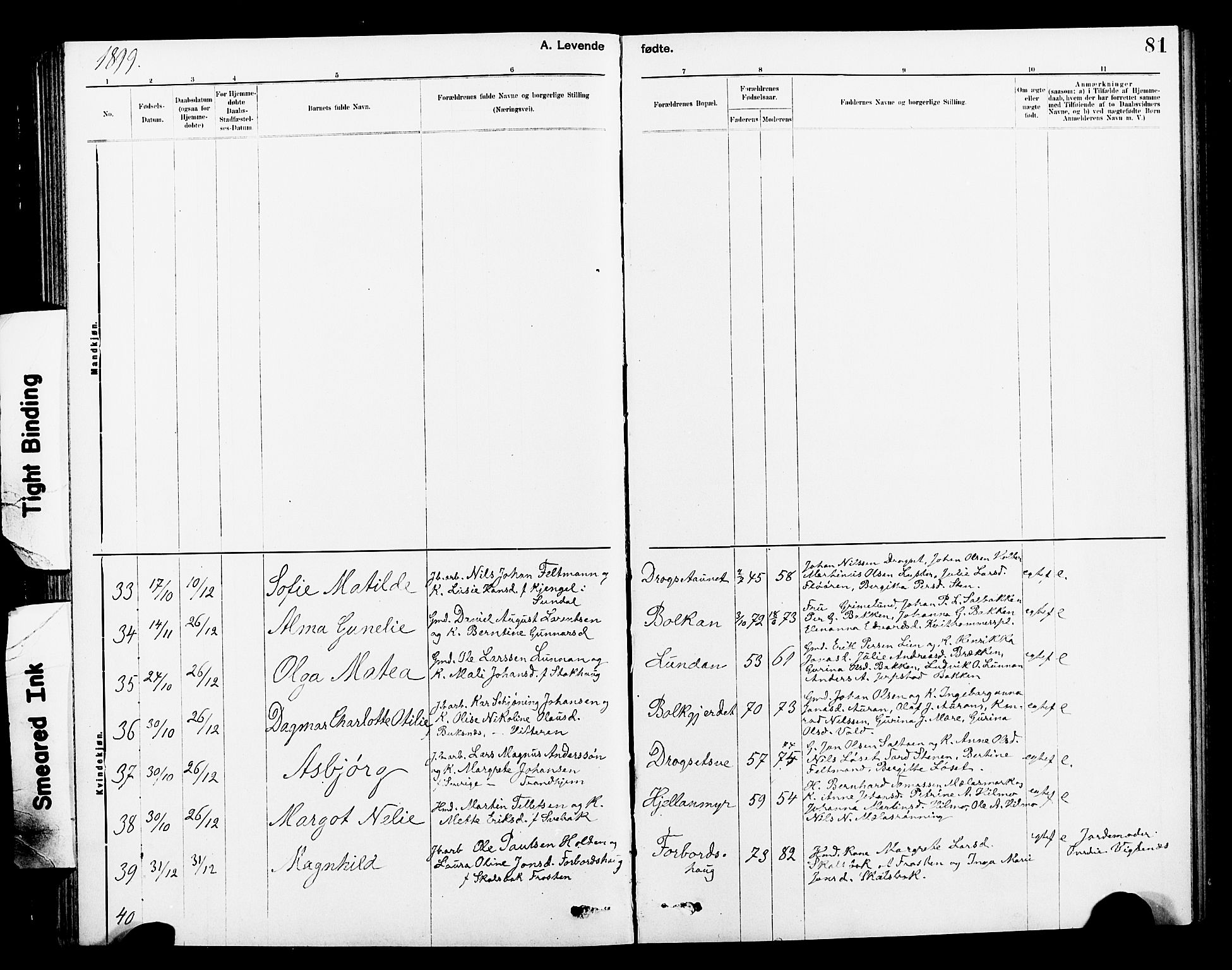 Ministerialprotokoller, klokkerbøker og fødselsregistre - Nord-Trøndelag, SAT/A-1458/712/L0103: Parish register (copy) no. 712C01, 1878-1917, p. 81