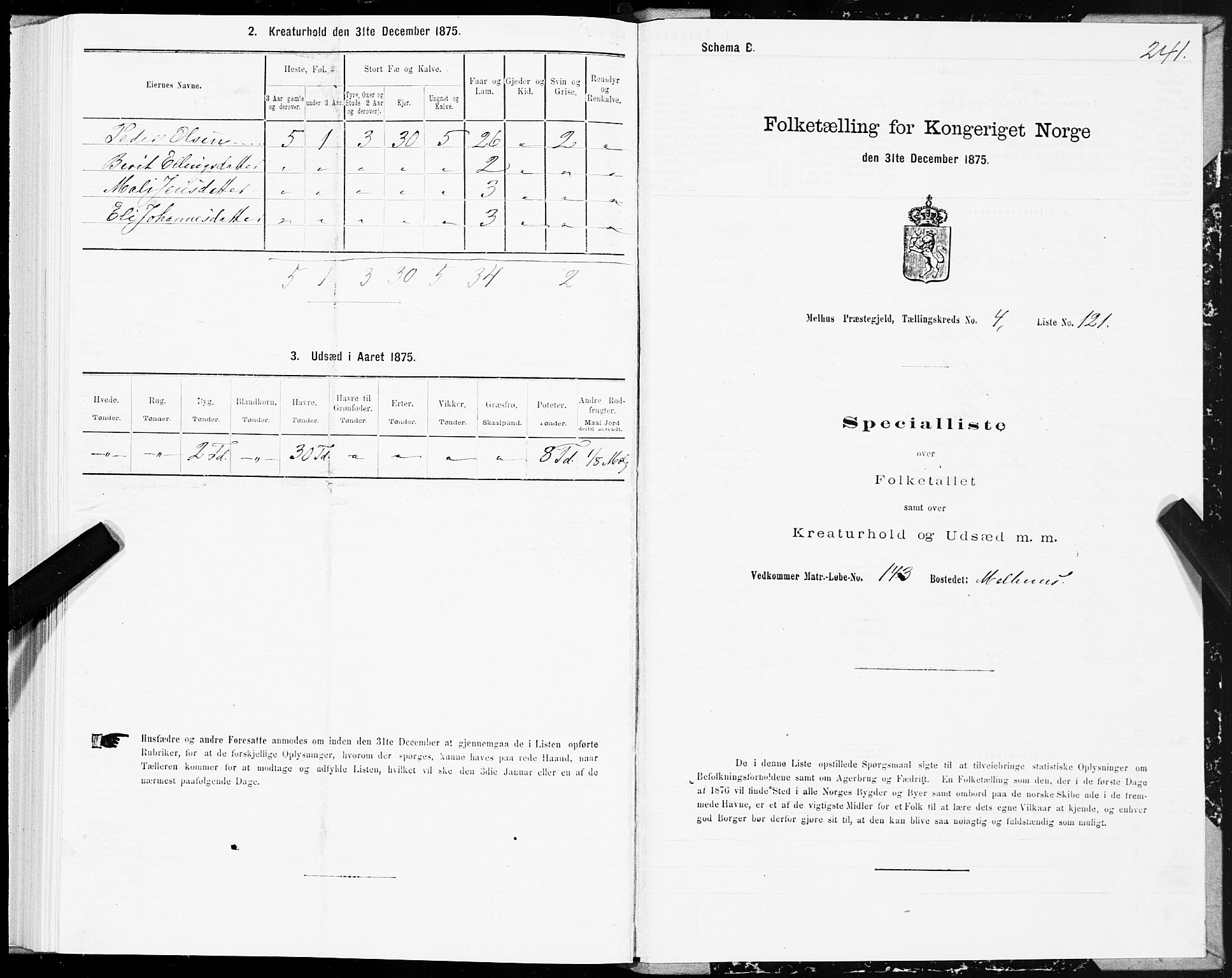 SAT, 1875 census for 1653P Melhus, 1875, p. 3241