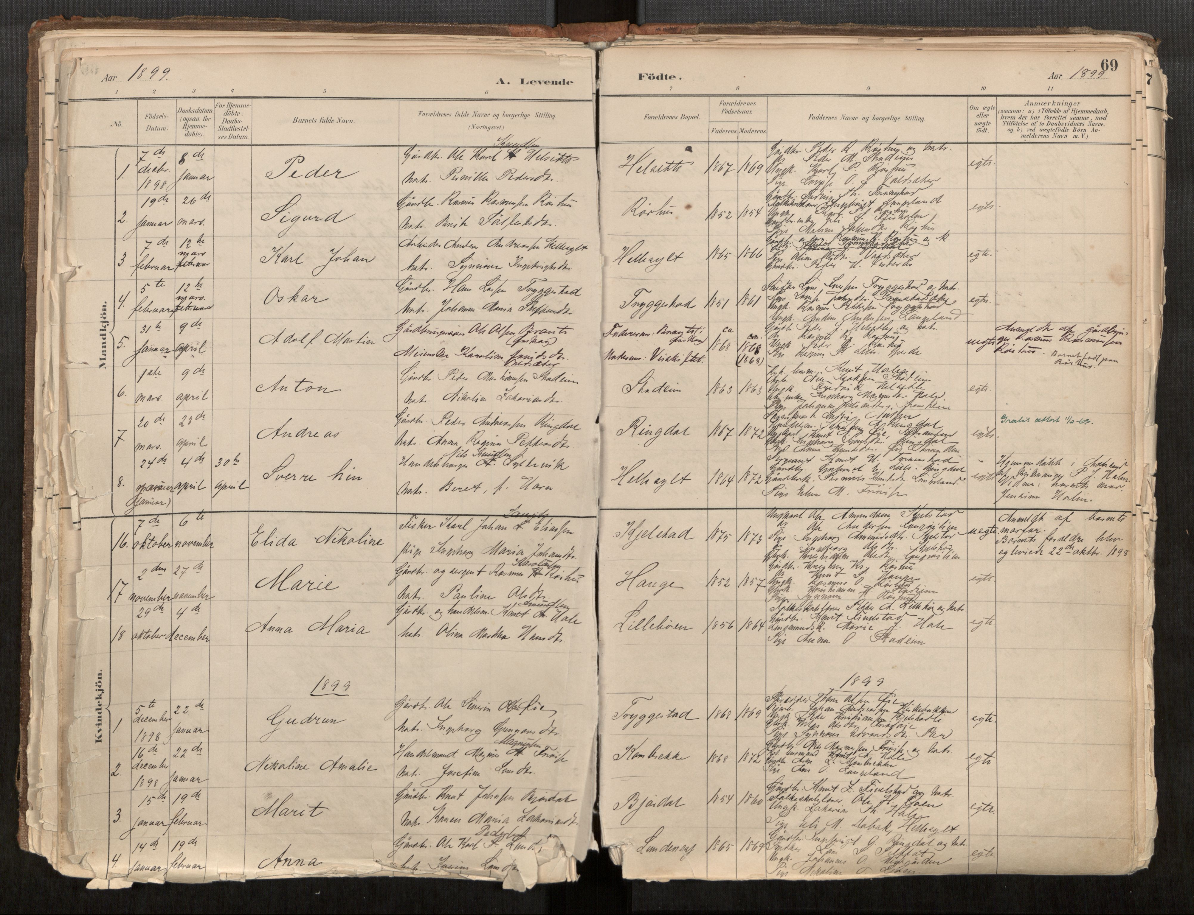 Sunnylven sokneprestkontor, AV/SAT-A-1007/H/Ha/Haa/L0002: Parish register (official) no. 517A09, 1882-1939, p. 69