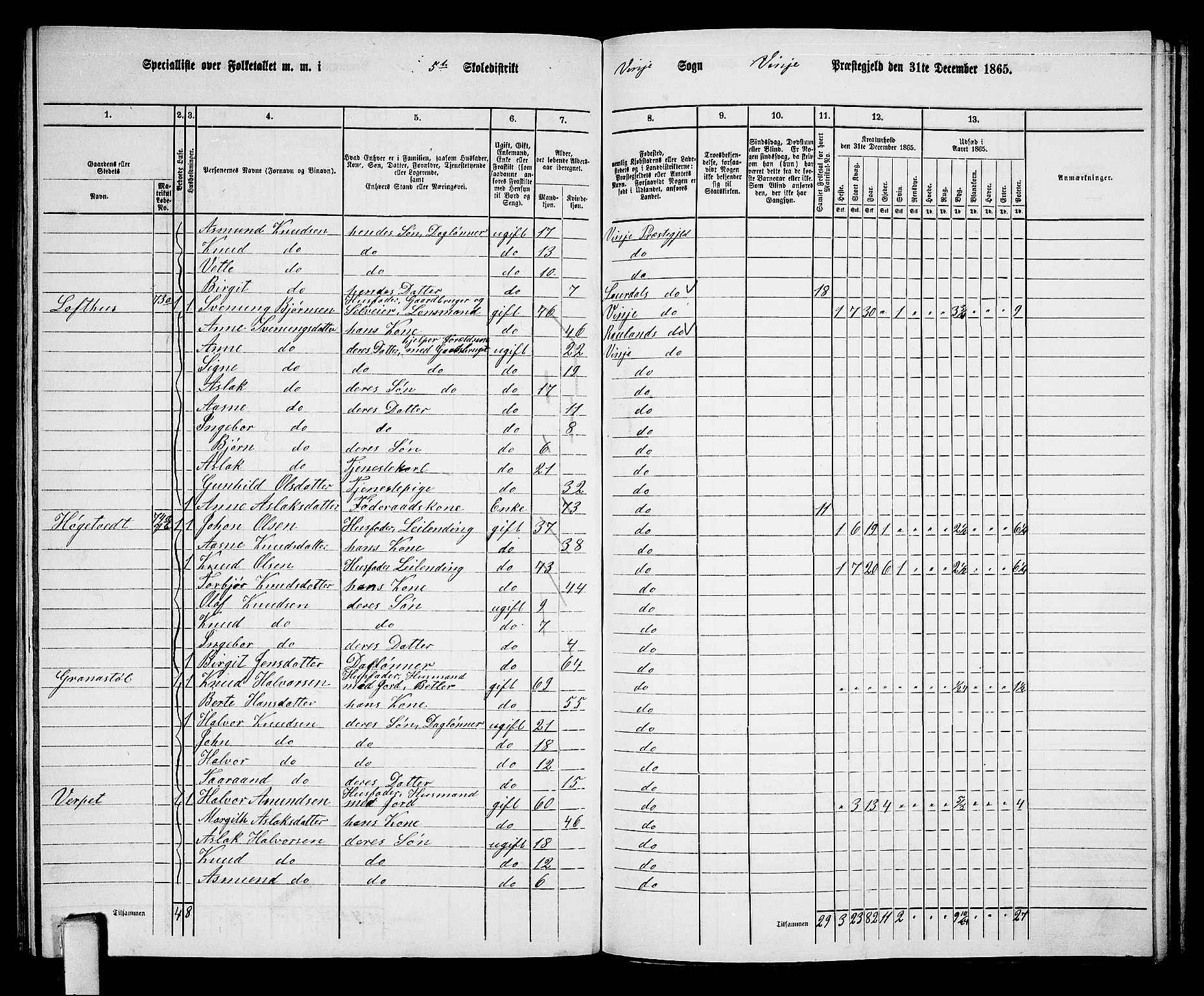 RA, 1865 census for Vinje, 1865, p. 46