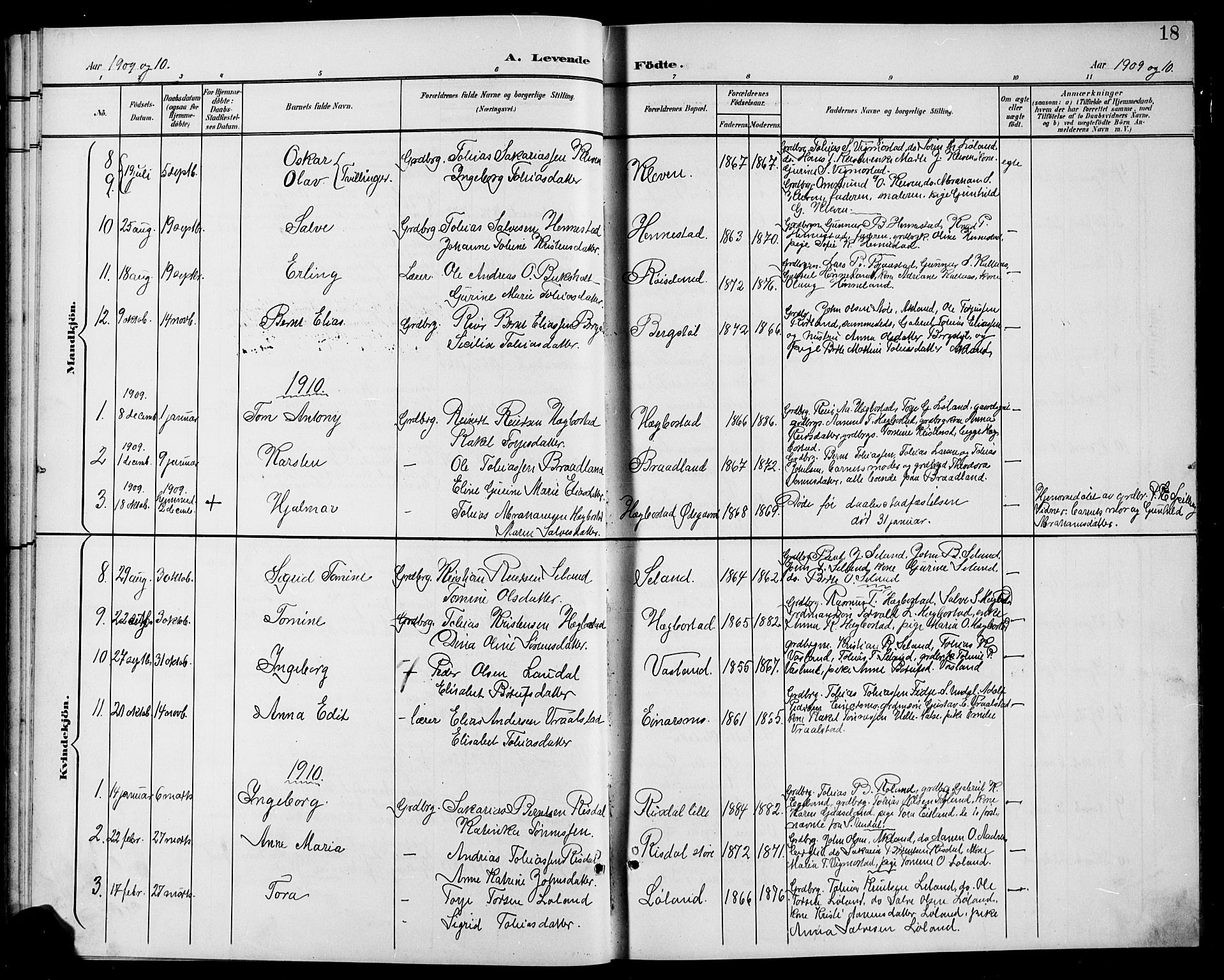 Nord-Audnedal sokneprestkontor, SAK/1111-0032/F/Fb/Fbb/L0004: Parish register (copy) no. B 4, 1901-1917, p. 18