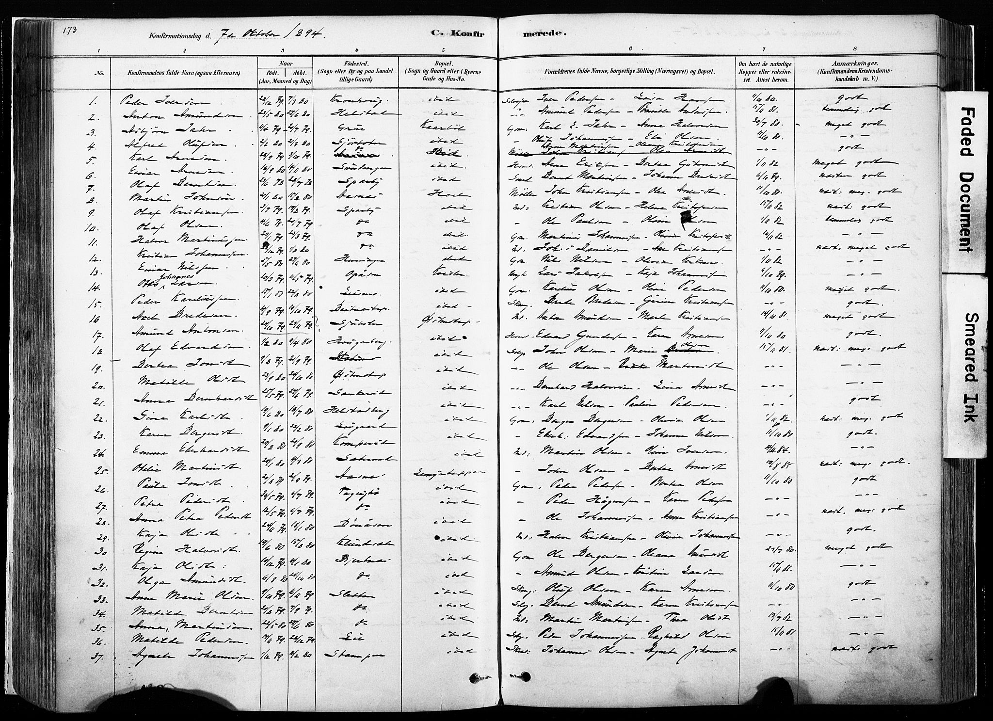 Hof prestekontor, SAH/PREST-038/H/Ha/Haa/L0010: Parish register (official) no. 10, 1878-1909, p. 173