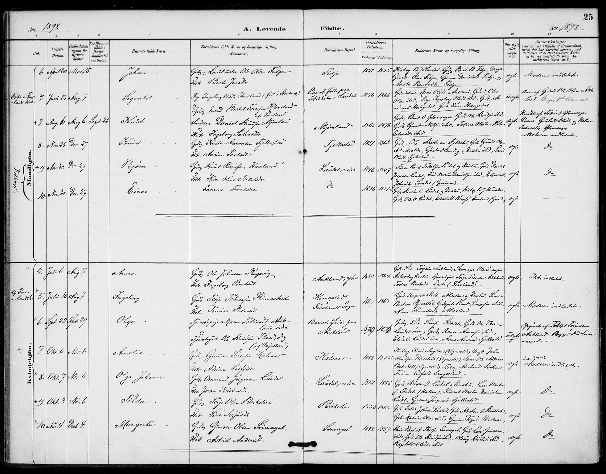 Holum sokneprestkontor, AV/SAK-1111-0022/F/Fa/Fab/L0007: Parish register (official) no. A 7, 1887-1912, p. 25