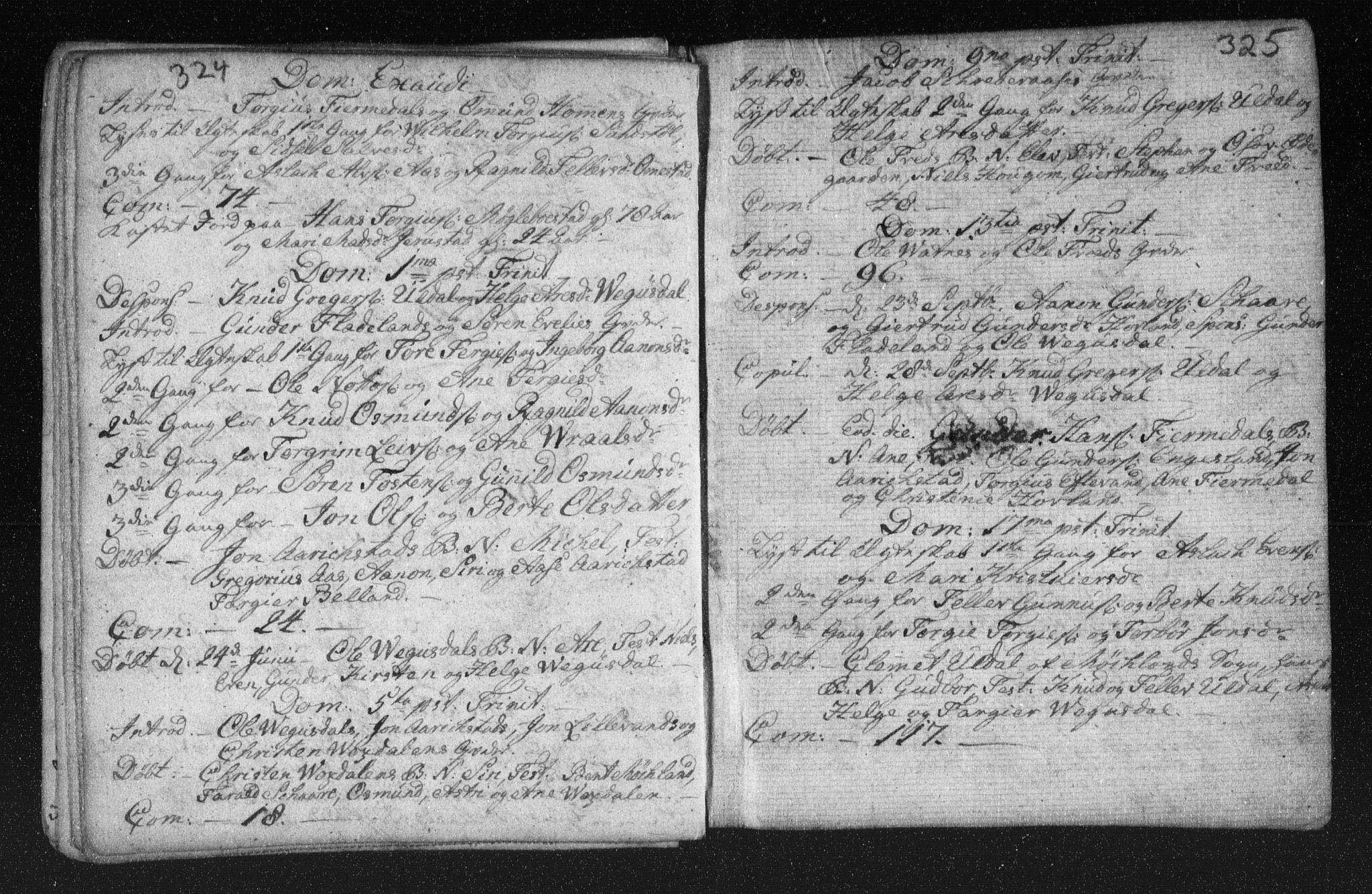 Herefoss sokneprestkontor, AV/SAK-1111-0019/F/Fa/Fab/L0001: Parish register (official) no. A 1, 1704-1779, p. 324-325