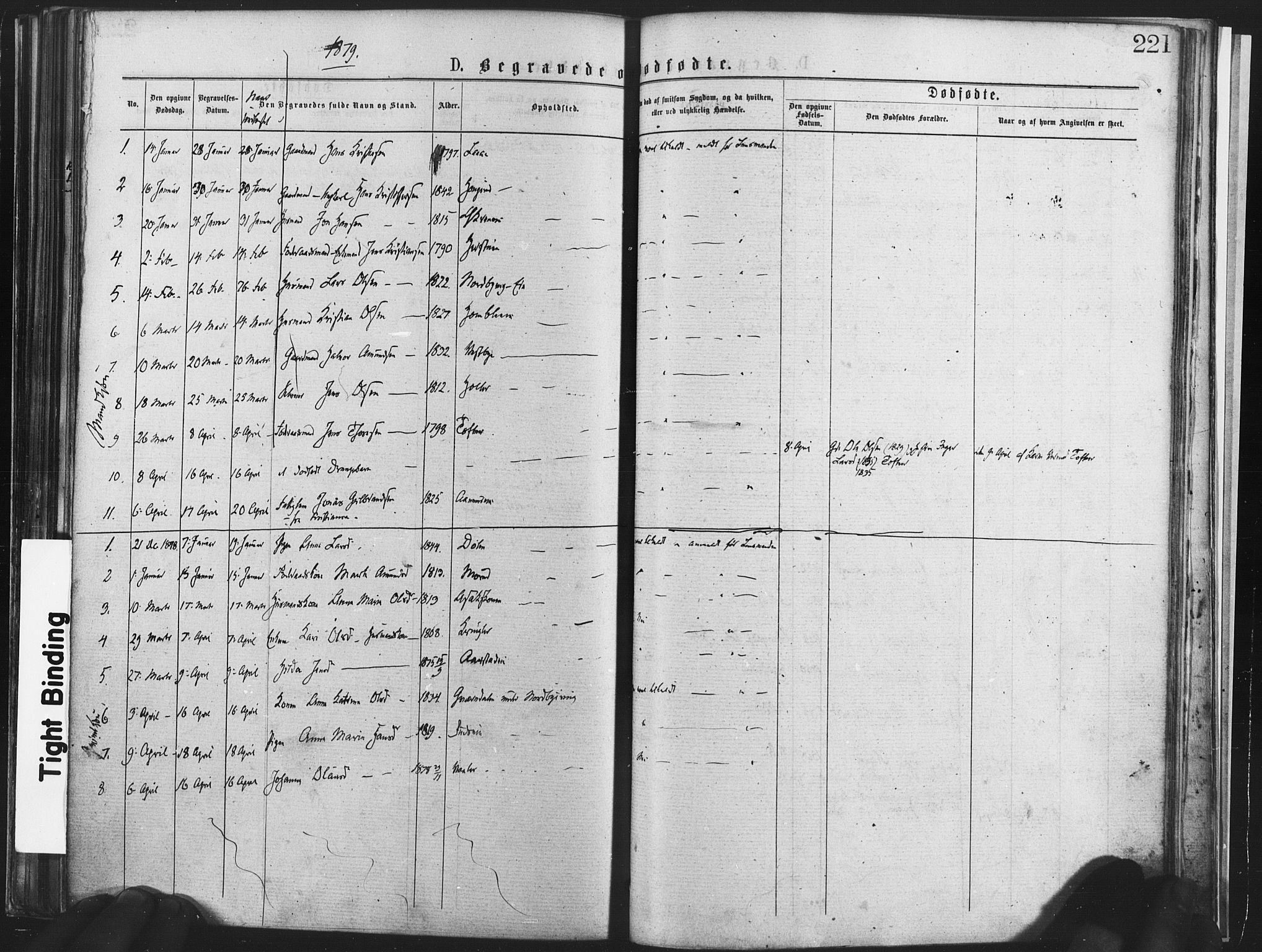 Nannestad prestekontor Kirkebøker, AV/SAO-A-10414a/F/Fa/L0013: Parish register (official) no. I 13, 1873-1880, p. 221