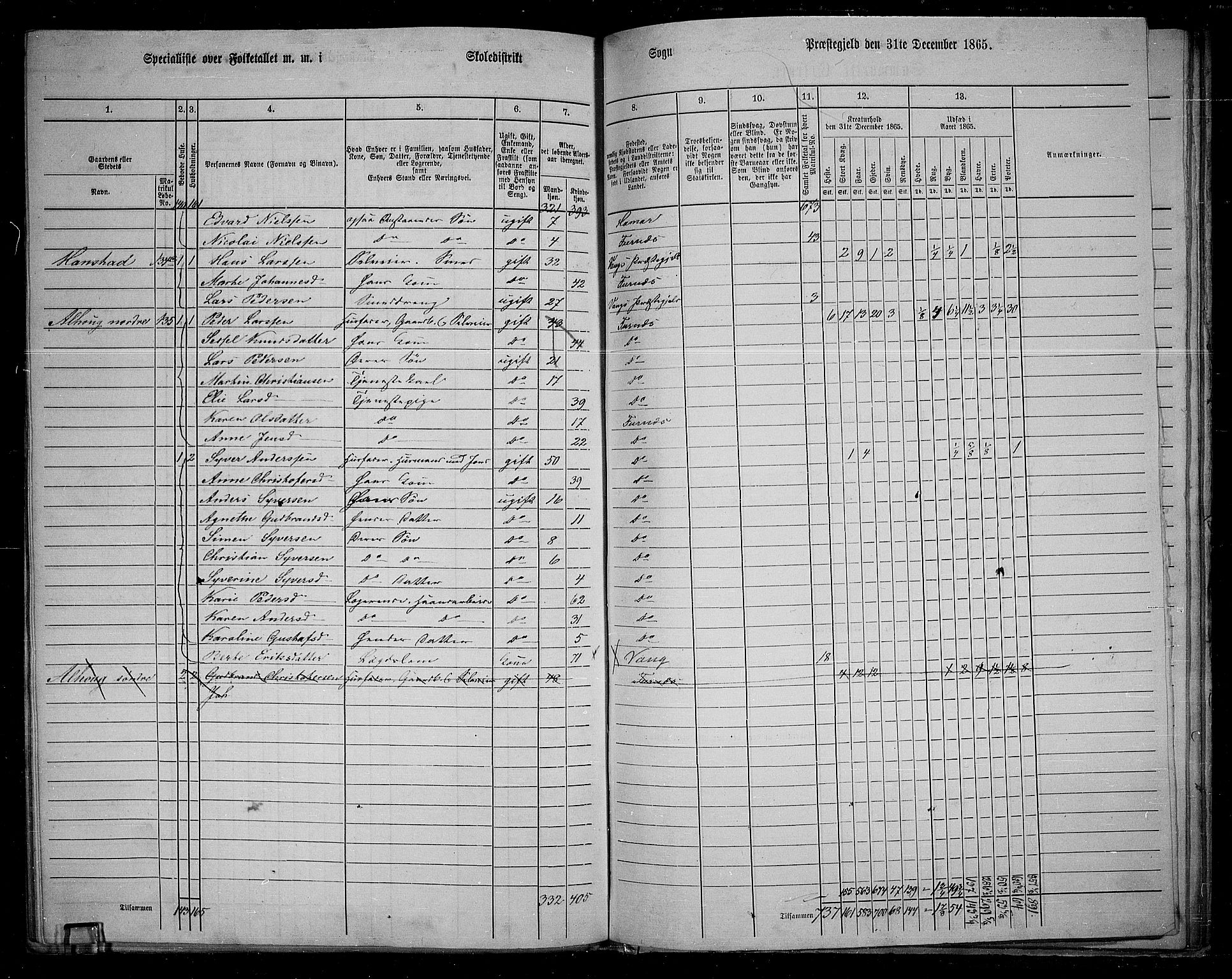 RA, 1865 census for Vang/Vang og Furnes, 1865, p. 113