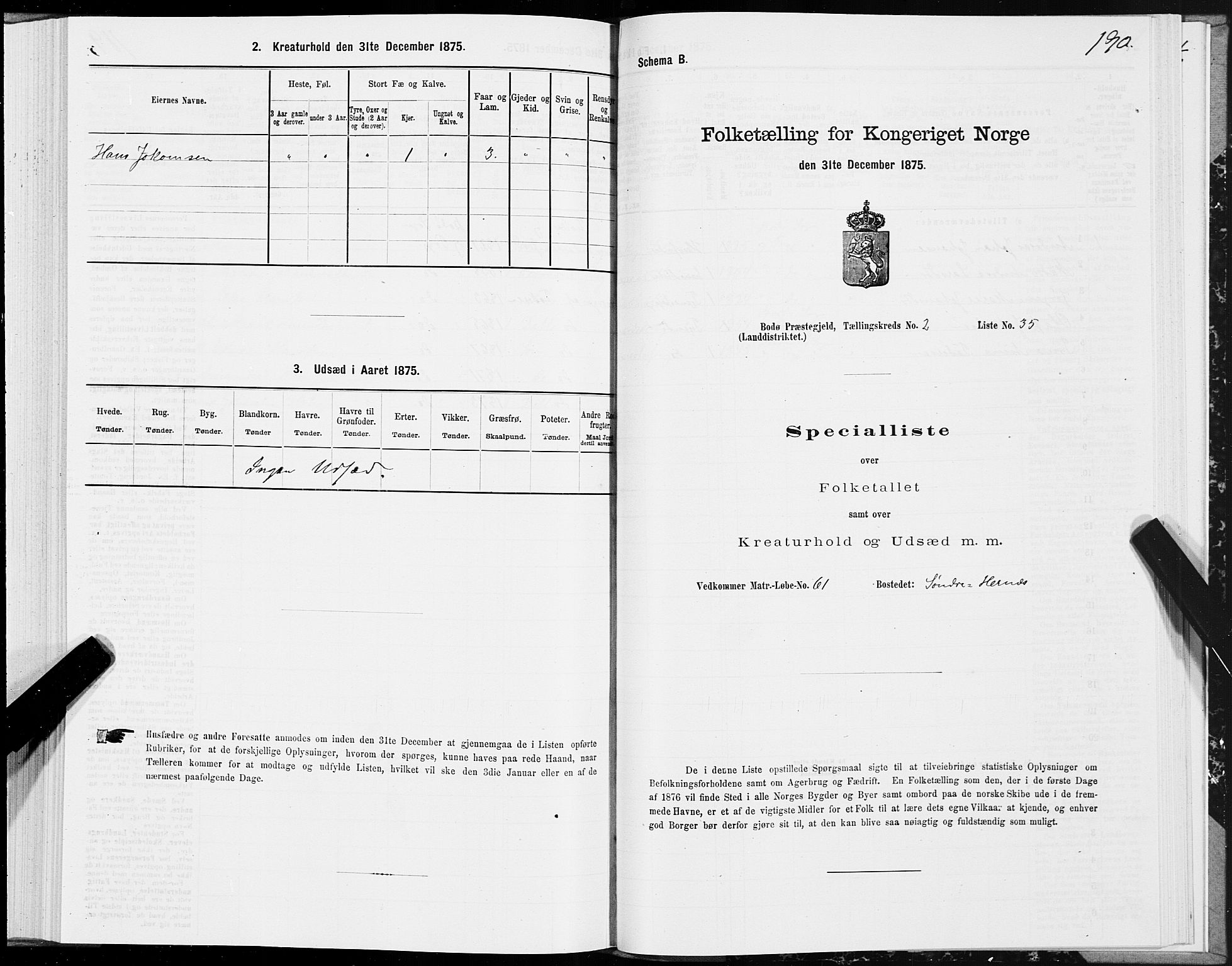 SAT, 1875 census for 1843L Bodø/Bodø, 1875, p. 1190
