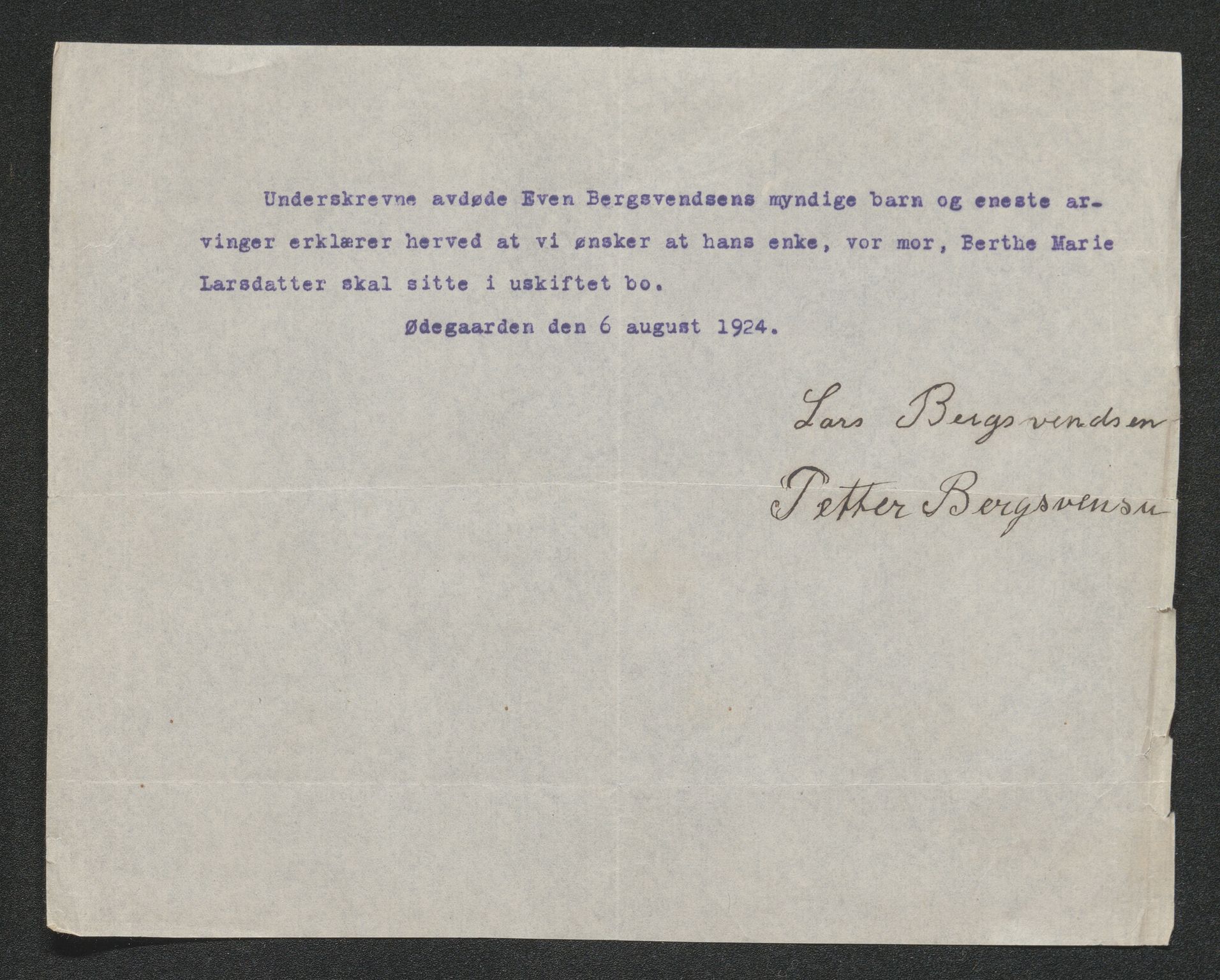 Ringerike sorenskriveri, AV/SAKO-A-105/H/Ha/Hab/L0013: Dødsfallslister Norderhov, 1924-1930