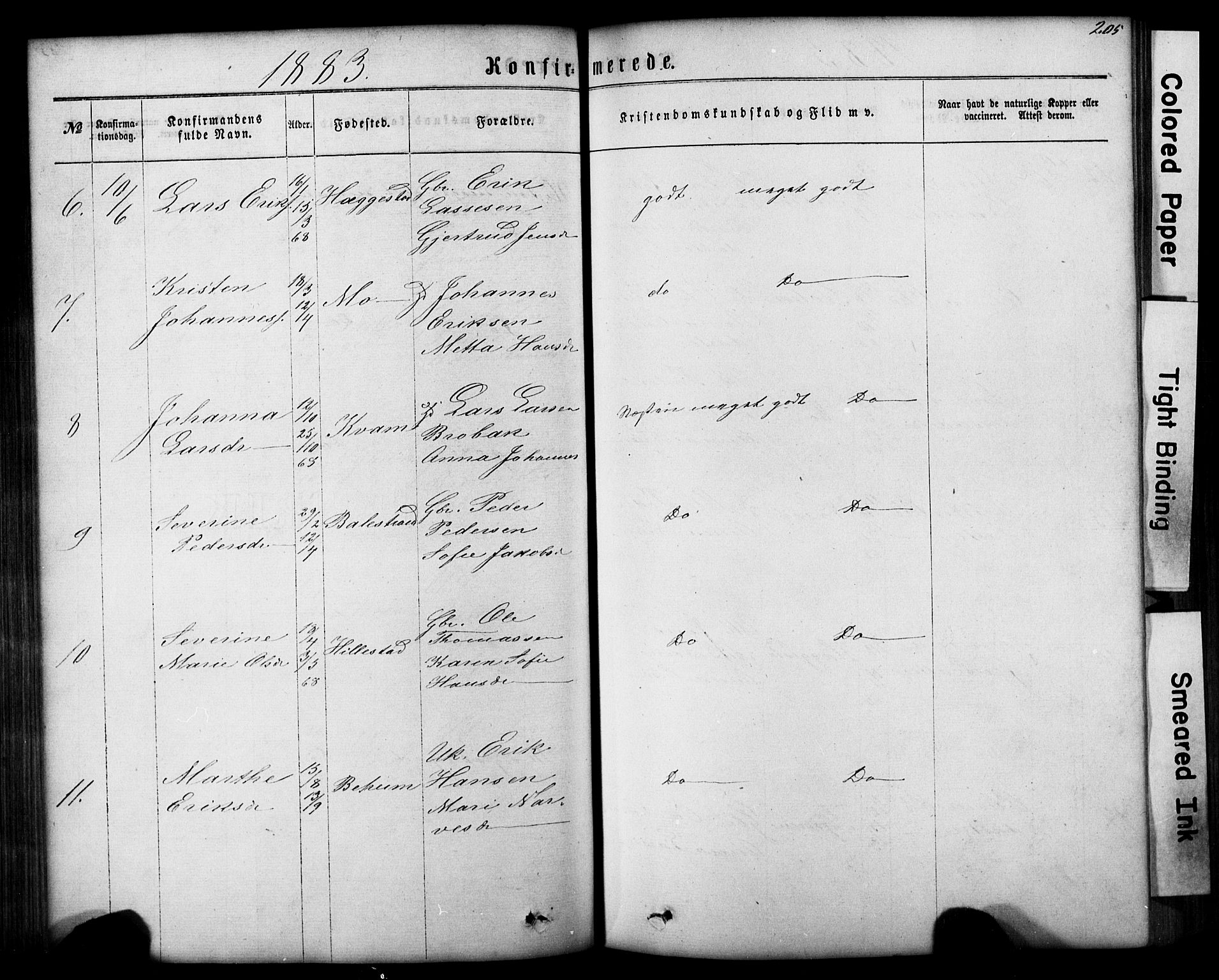 Hafslo sokneprestembete, SAB/A-80301/H/Hab/Haba/L0001: Parish register (copy) no. A 1, 1866-1908, p. 205