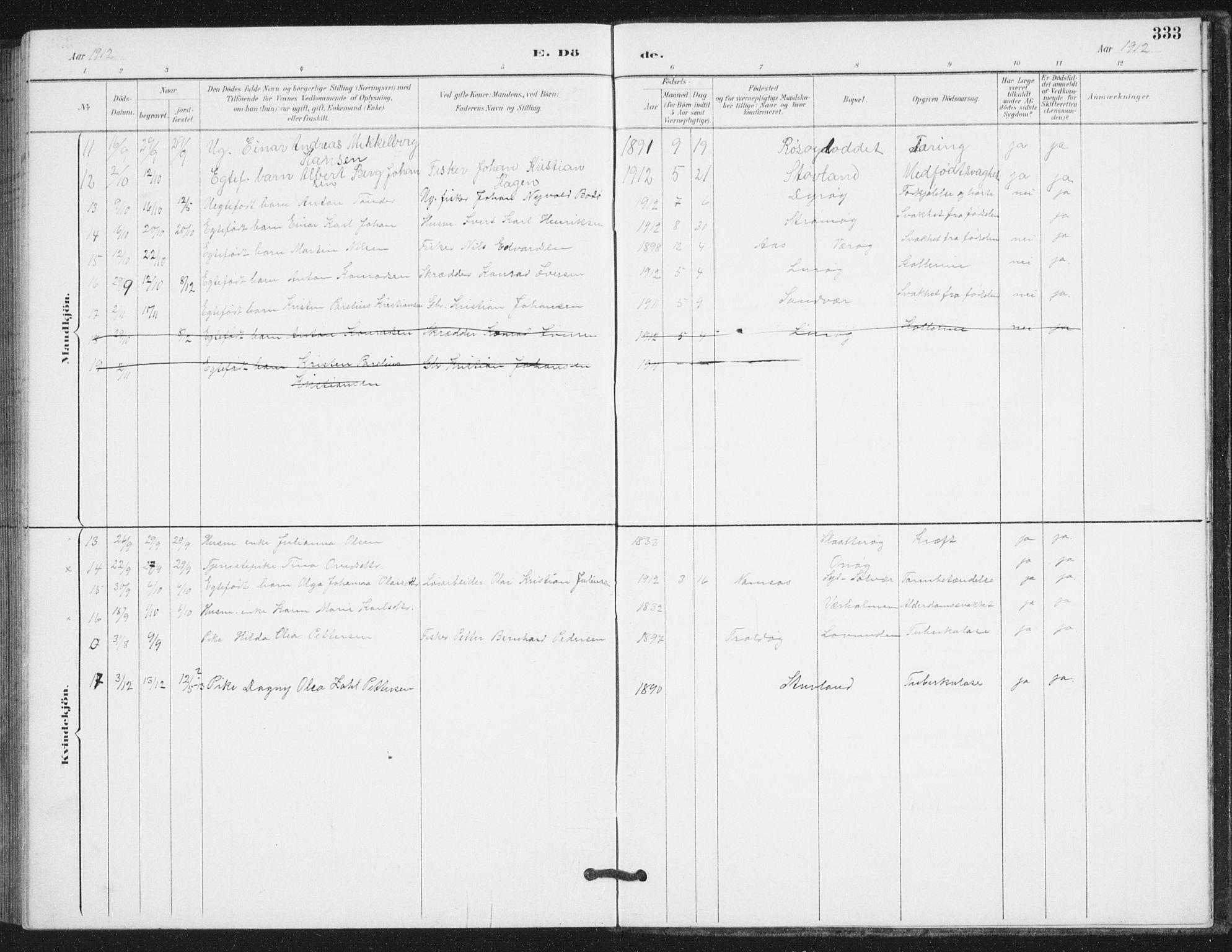 Ministerialprotokoller, klokkerbøker og fødselsregistre - Nordland, AV/SAT-A-1459/839/L0573: Parish register (copy) no. 839C03, 1892-1917, p. 333