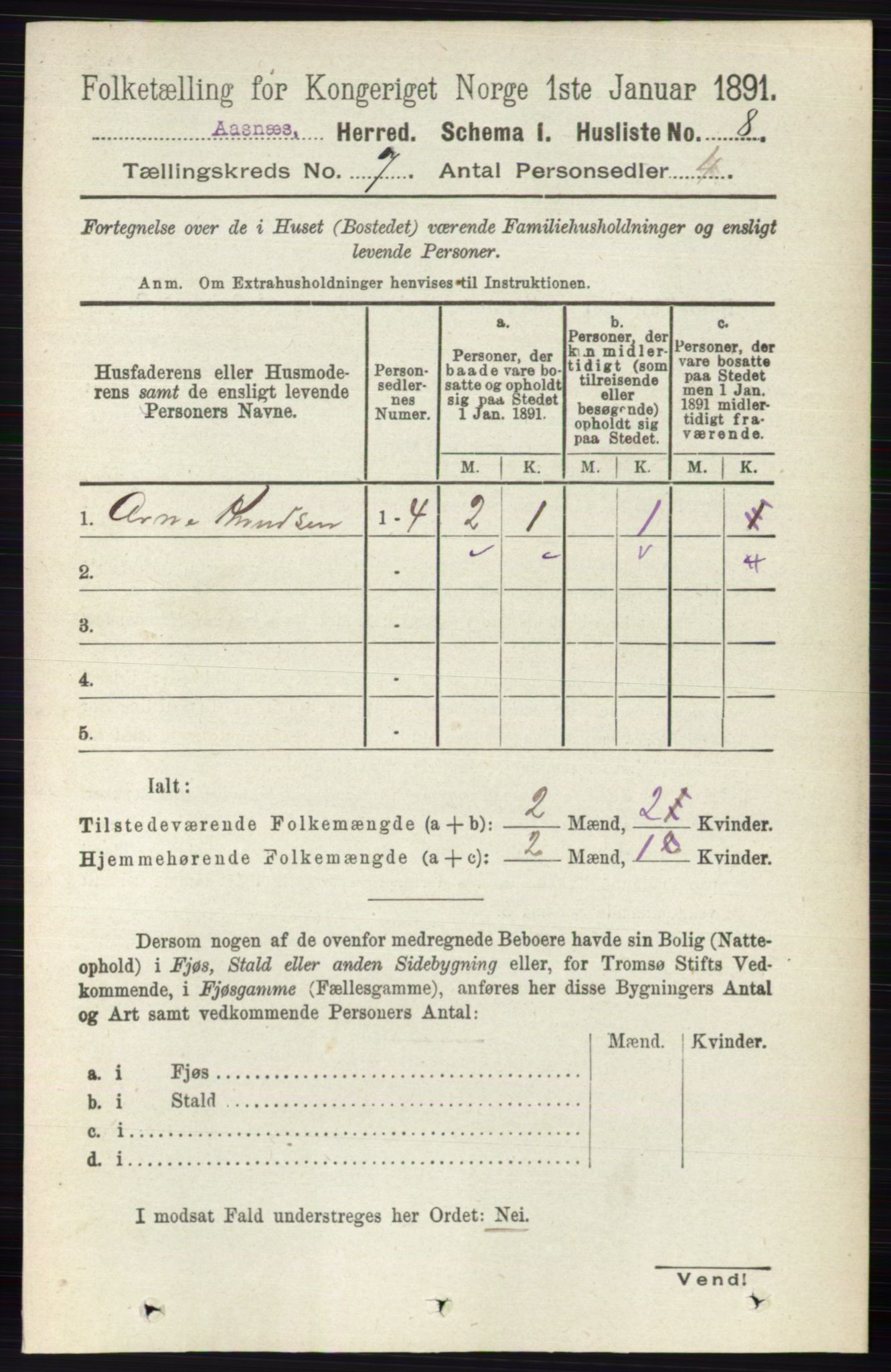 RA, 1891 census for 0425 Åsnes, 1891, p. 3243