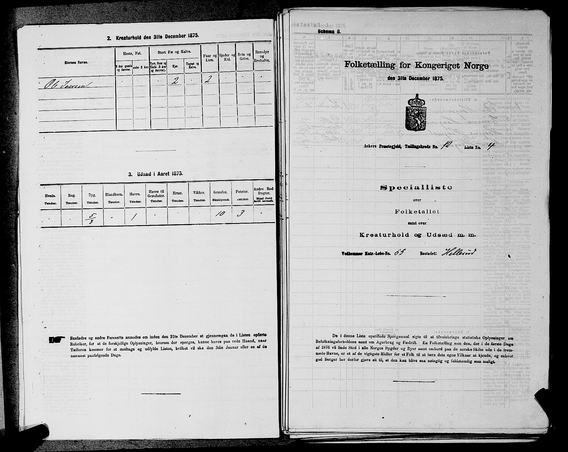 RA, 1875 census for 0220P Asker, 1875, p. 2038