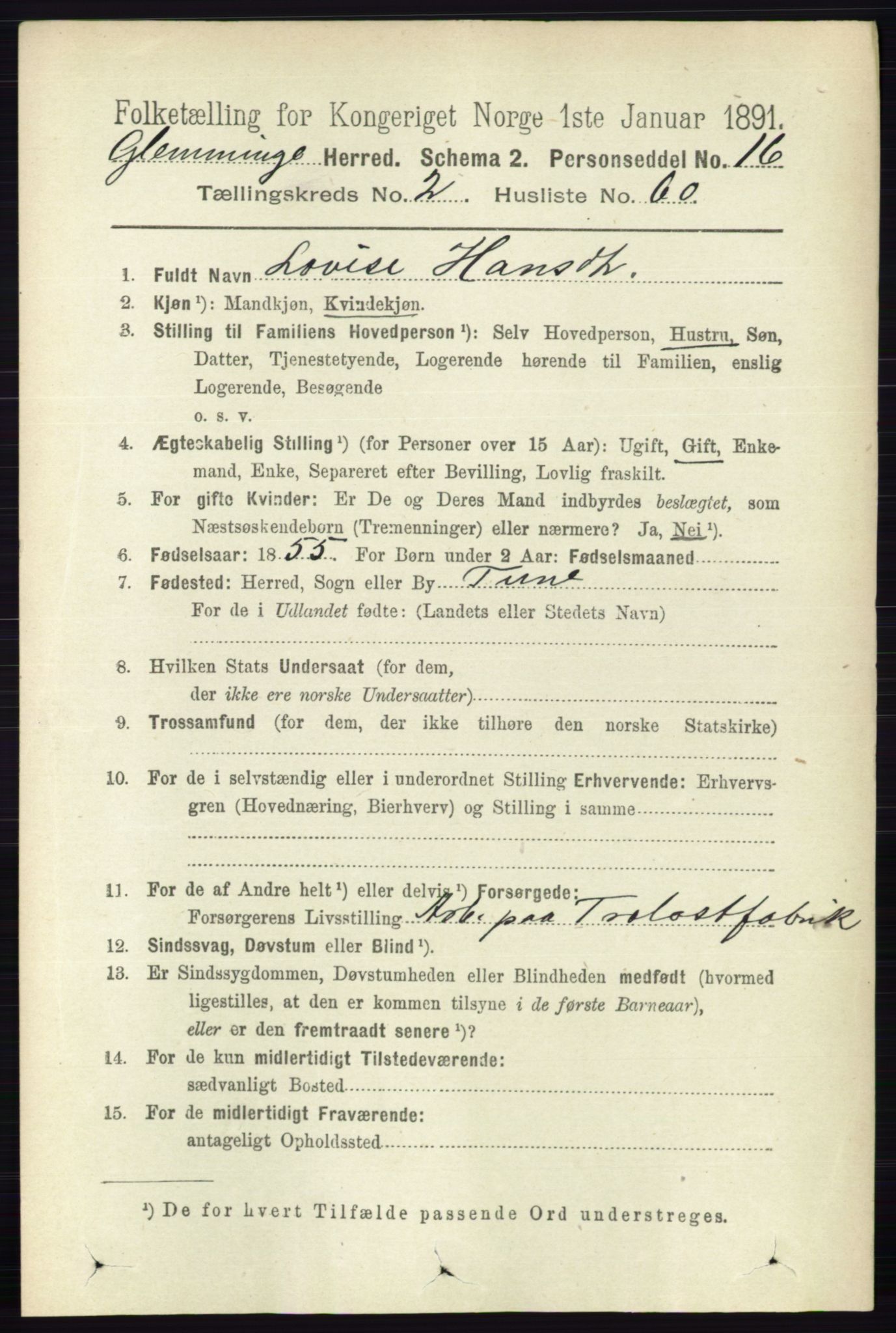 RA, 1891 census for 0132 Glemmen, 1891, p. 1044